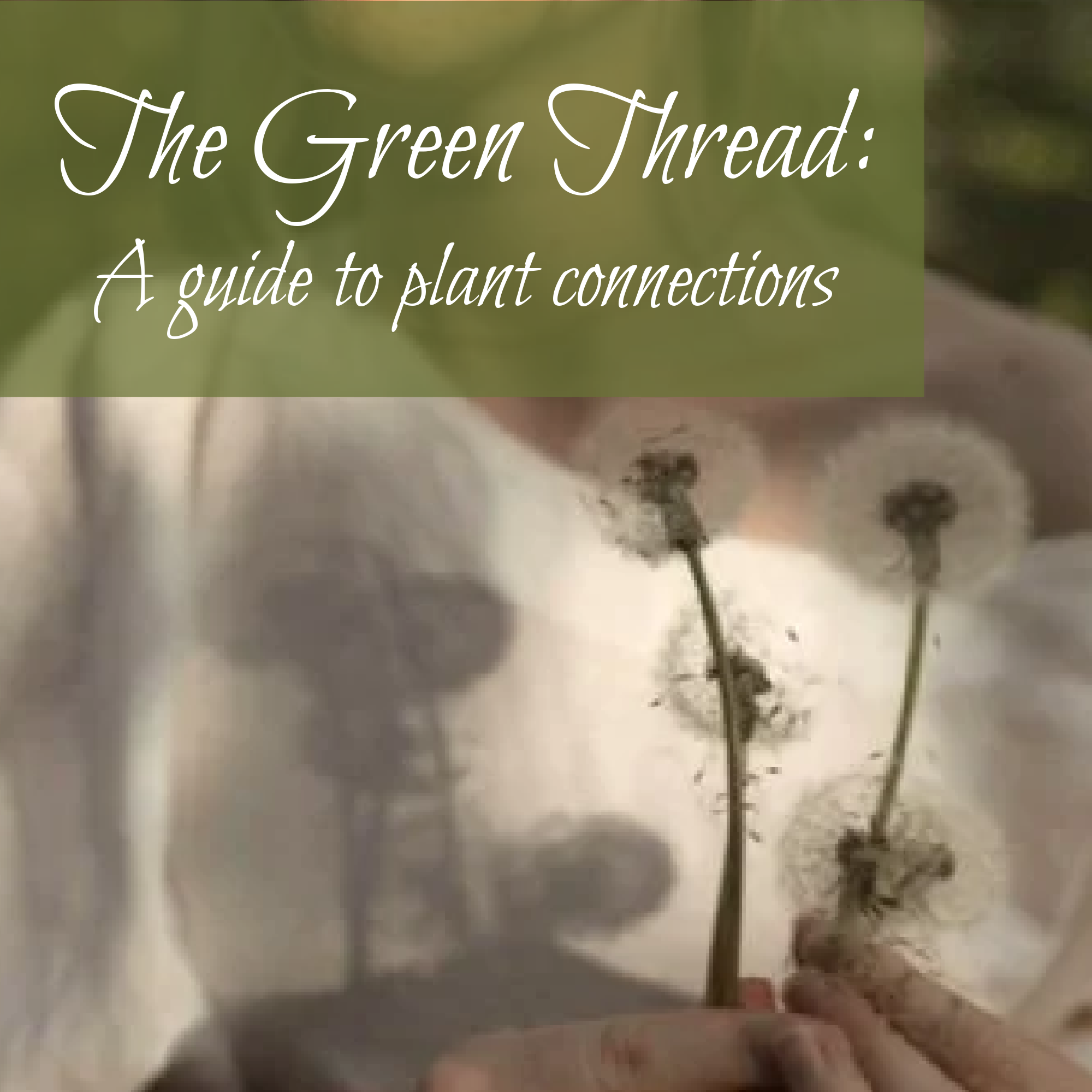 The Green Thread: A Guide to Connecting to the Natural World