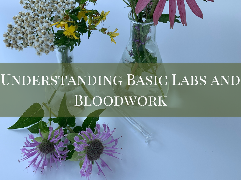 Herbalist Programs — Green Path Herb School