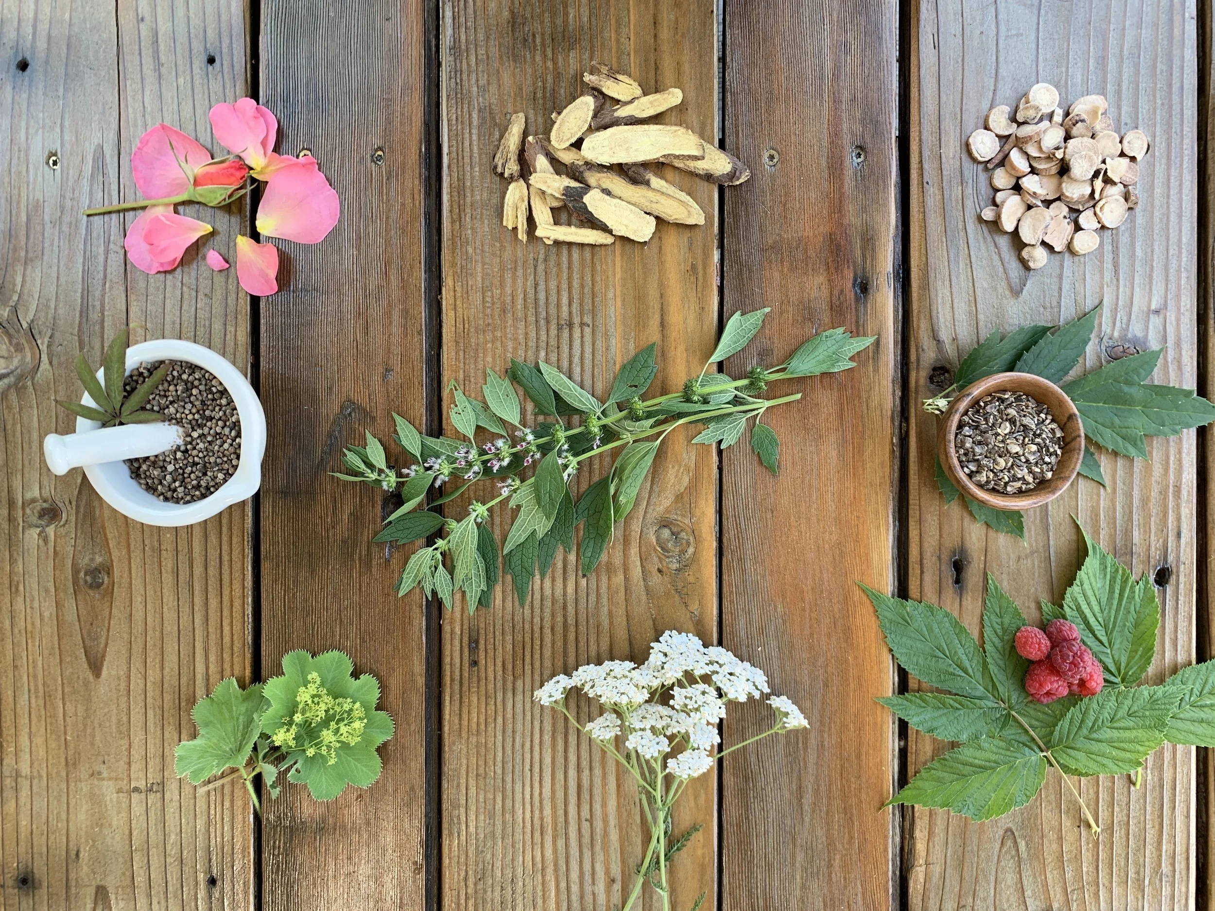 Herbal Care for Pregnancy, Birth and Postpartum — Green Path Herb School