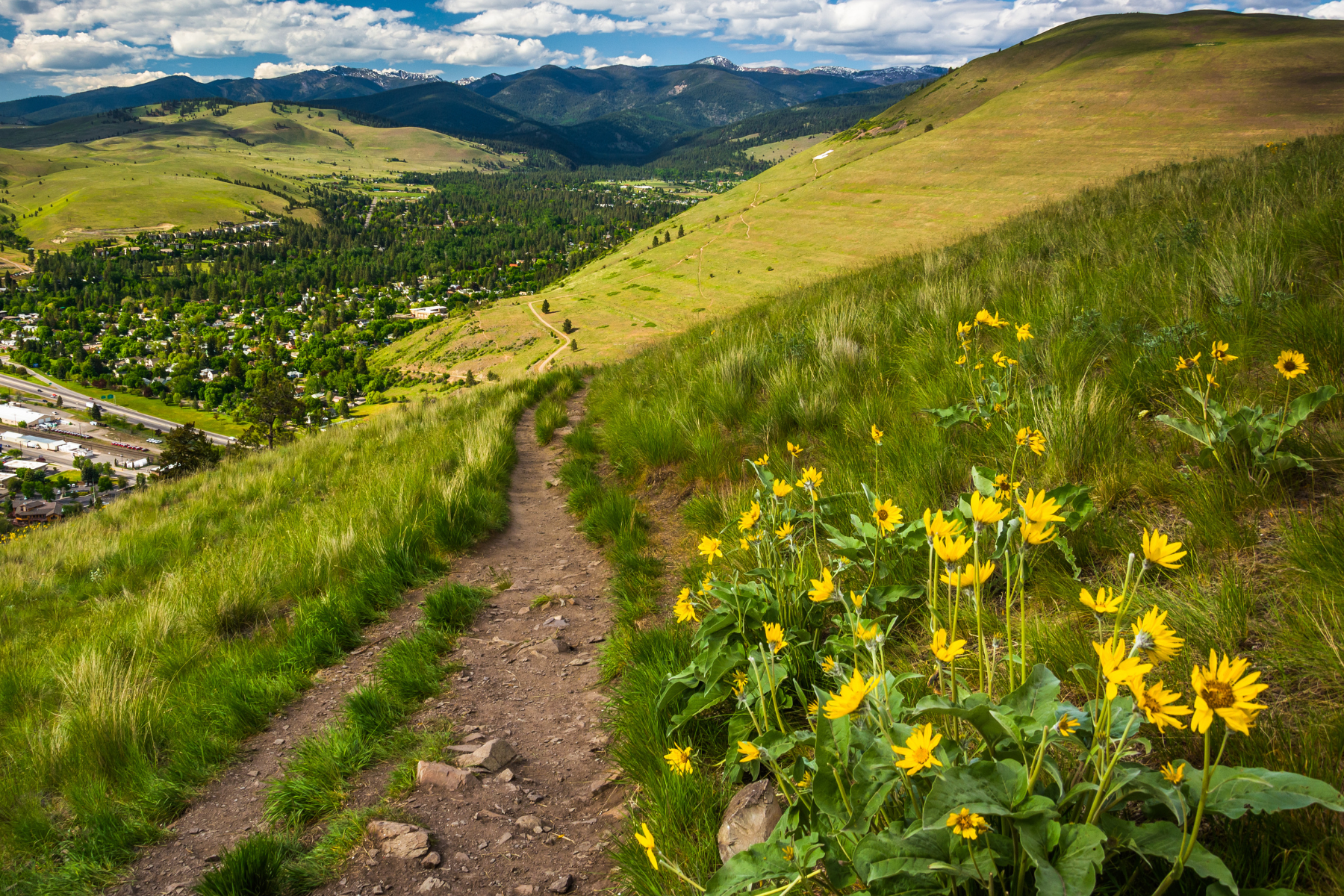 Herbal Immersion Program — Green Path Herb School