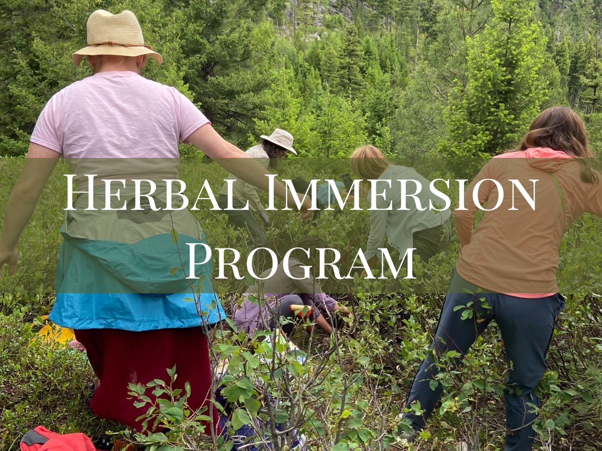 Herbalist Programs — Green Path Herb School