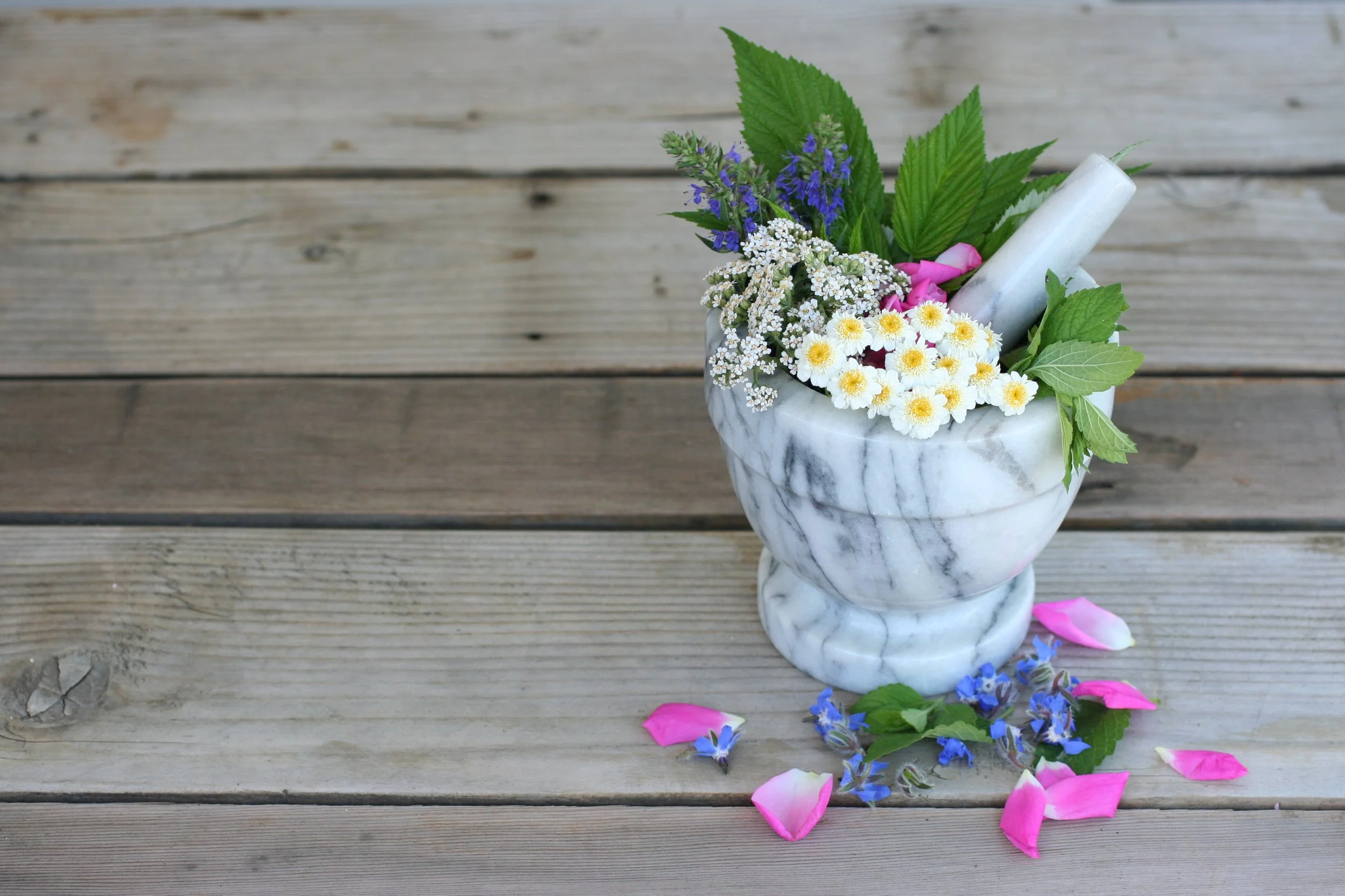 A stone mortar and pestle holds many fresh herbs including raspberry, feverfew, rose hyssop and yarrow