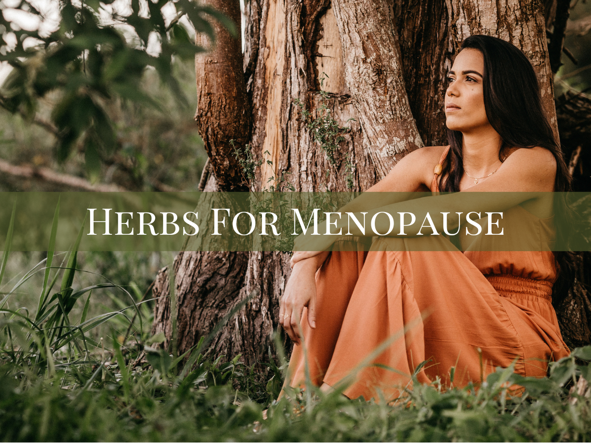 Herbalist Programs — Green Path Herb School