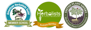 Natural Remedies for Ear Infections — Green Path Herb School