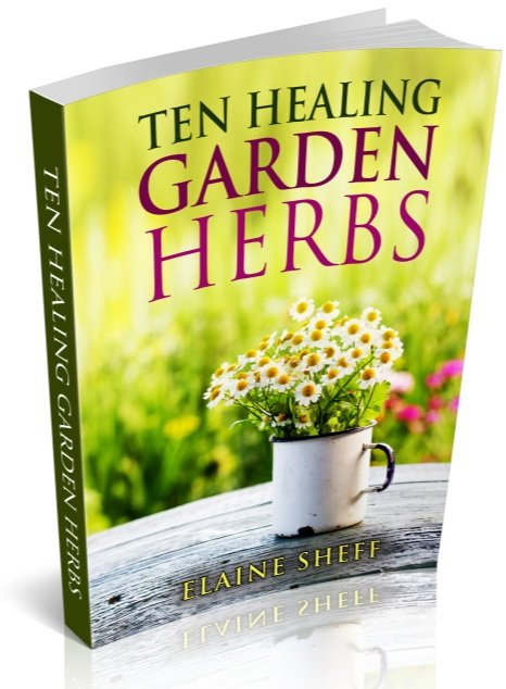 Ten Healing Garden Herbs Download