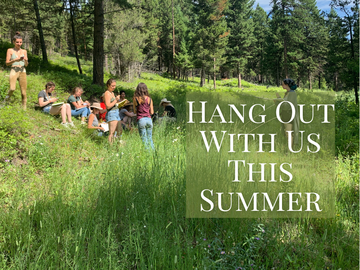 Herbal Immersion Program — Green Path Herb School