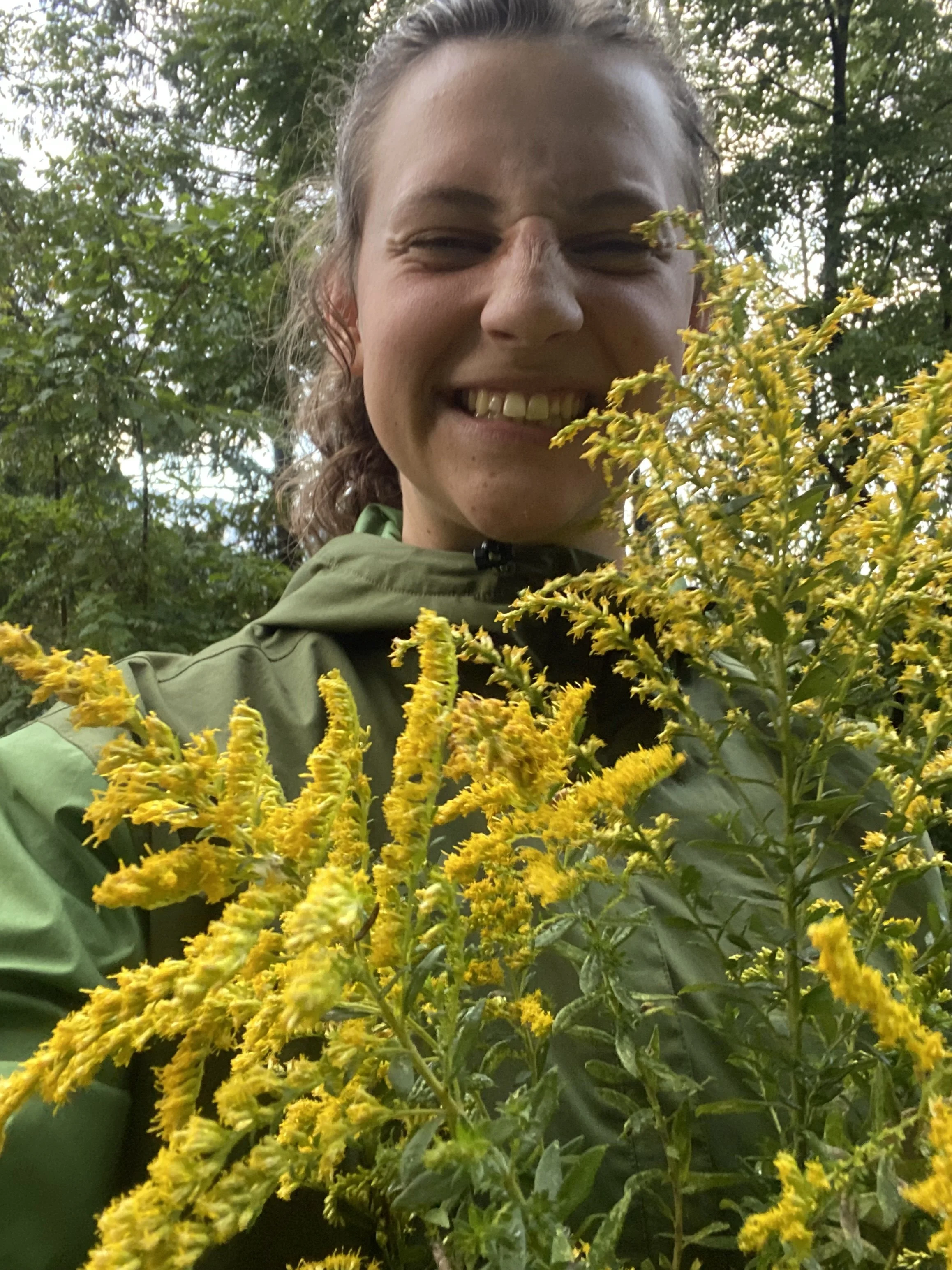 Herbalist Certificate Program — Green Path Herb School