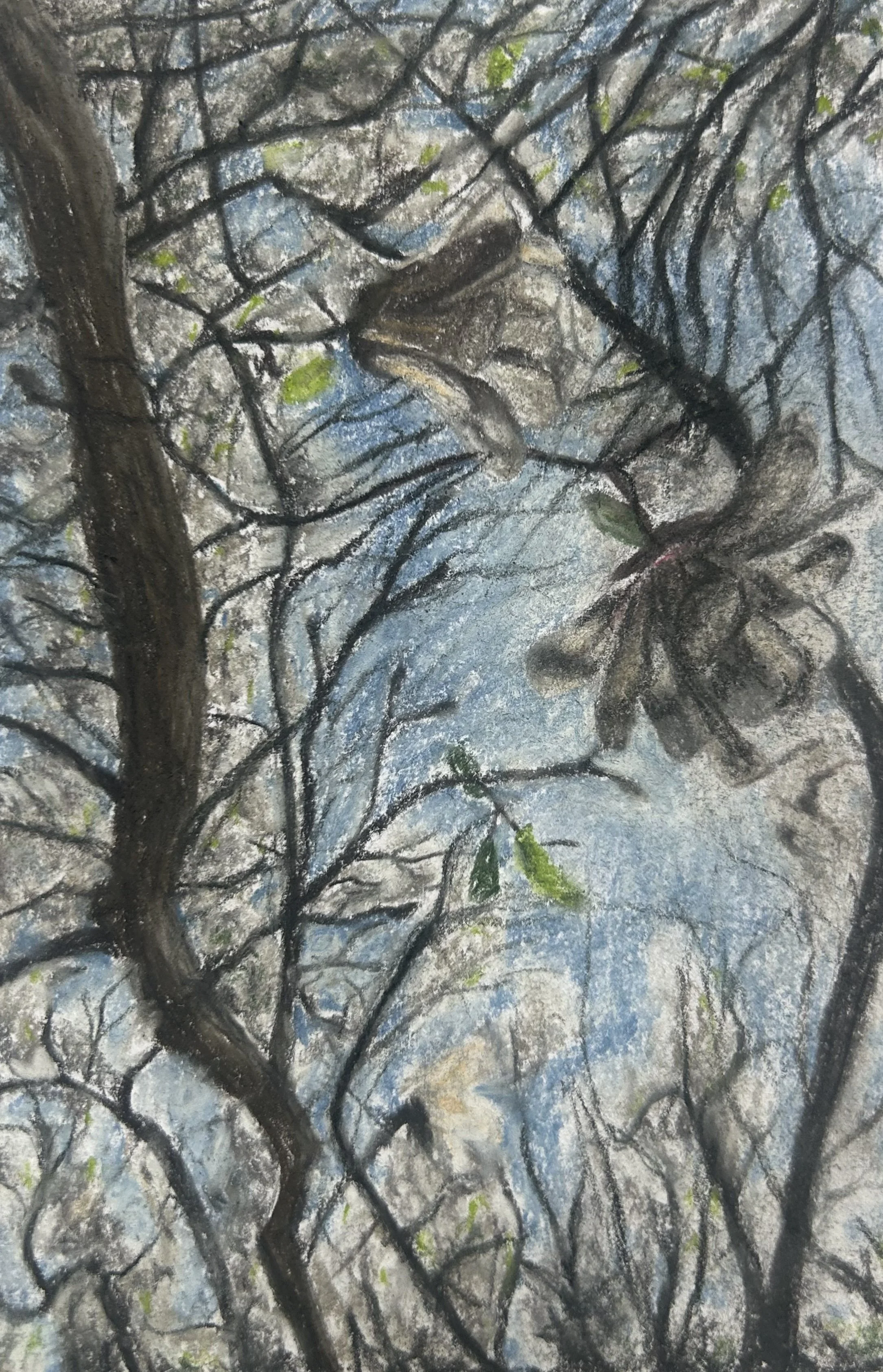 3.5x5.5" Chalk Pastel