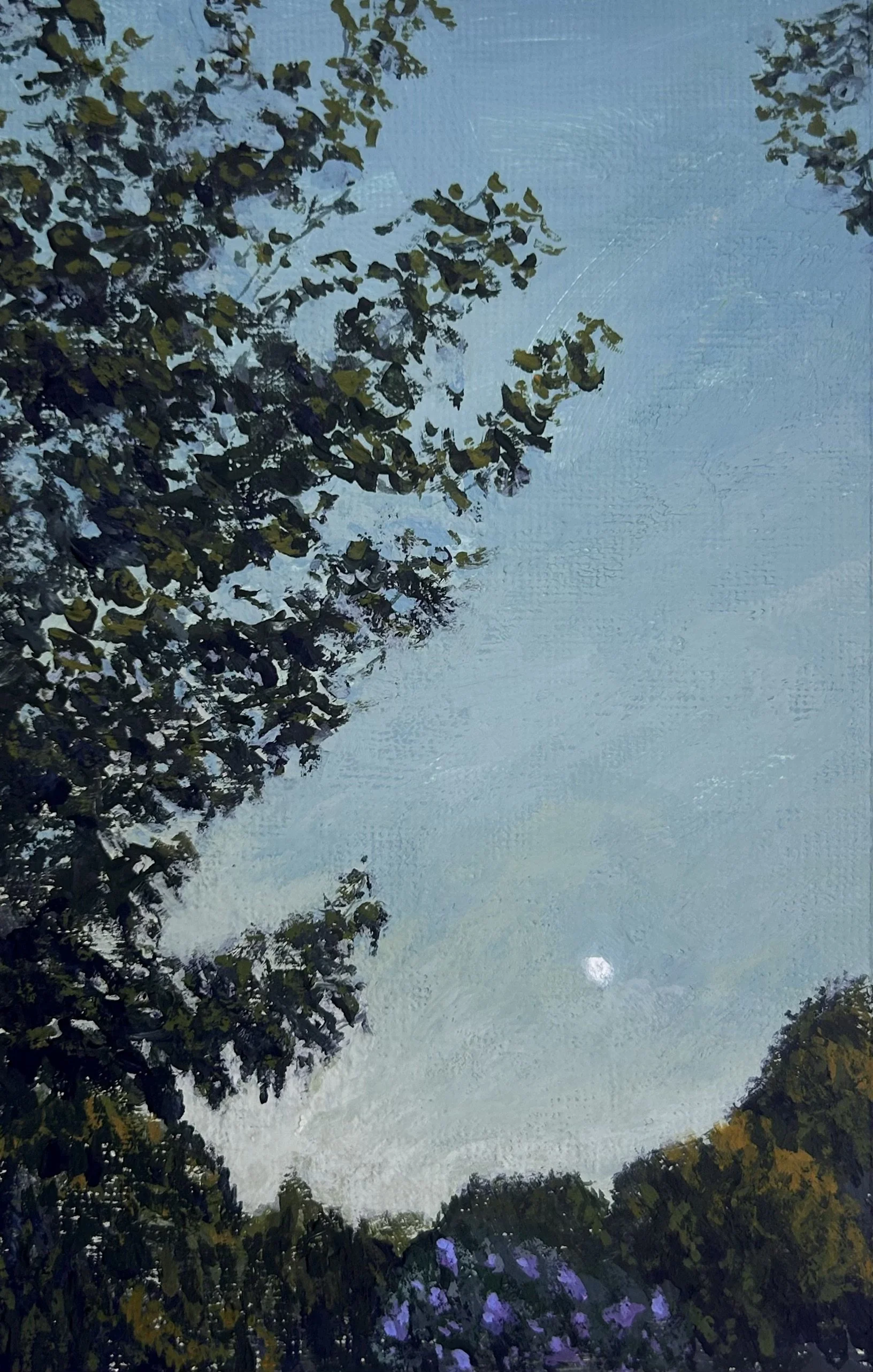 35. Hale ST Beverly 3.5x5.5"