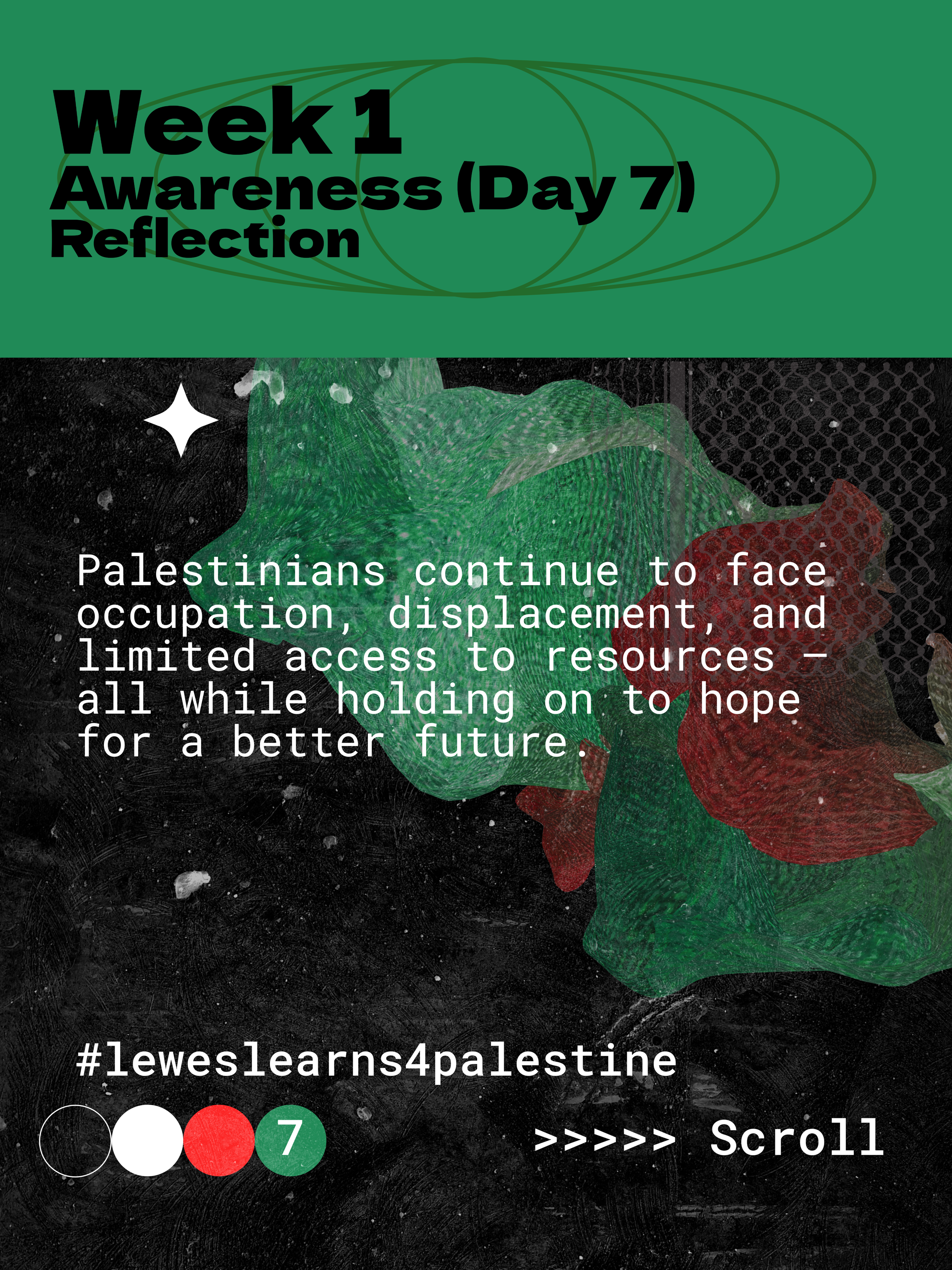 Truth: 

Palestine was not an empty desert but a populated, cultivated land with deep Indigenous histories. 

The claim that Palestine was empty is not ignorance, it is a political erasure that enables dispossession and occupation.

Next few phots sh
