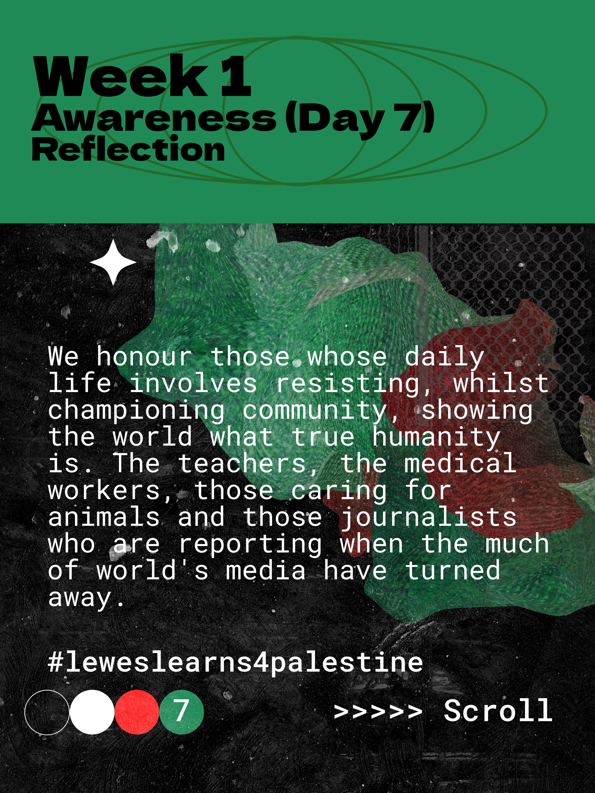 Truth: 

Palestine was not an empty desert but a populated, cultivated land with deep Indigenous histories. 

The claim that Palestine was empty is not ignorance, it is a political erasure that enables dispossession and occupation.

Next few phots sh