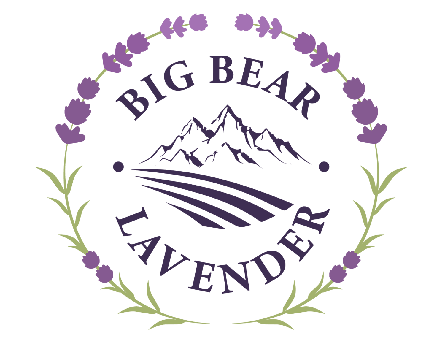 Big Bear Lavender