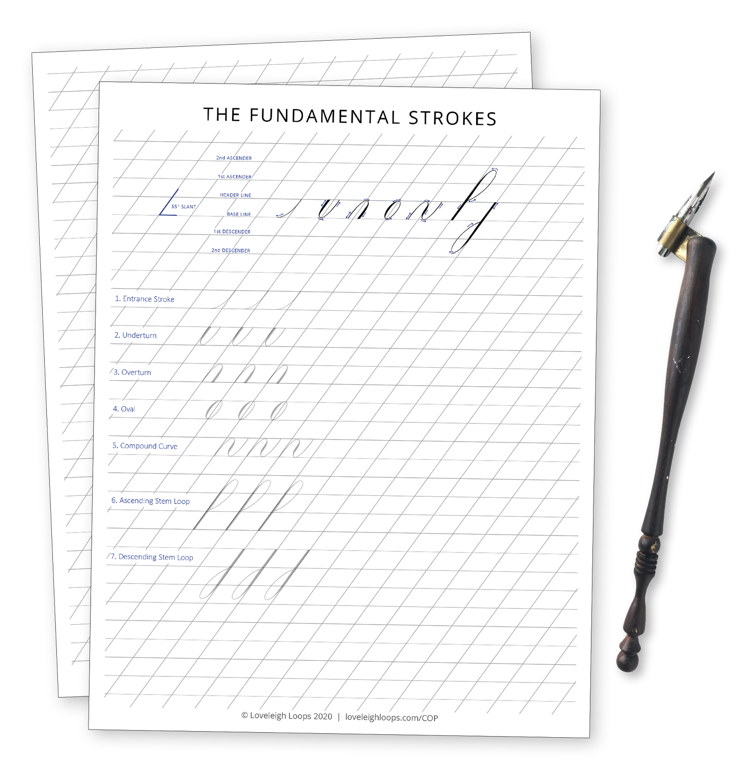 Into to Pointed Pen Calligraphy (Free Worksheets!) — Loveleigh Loops