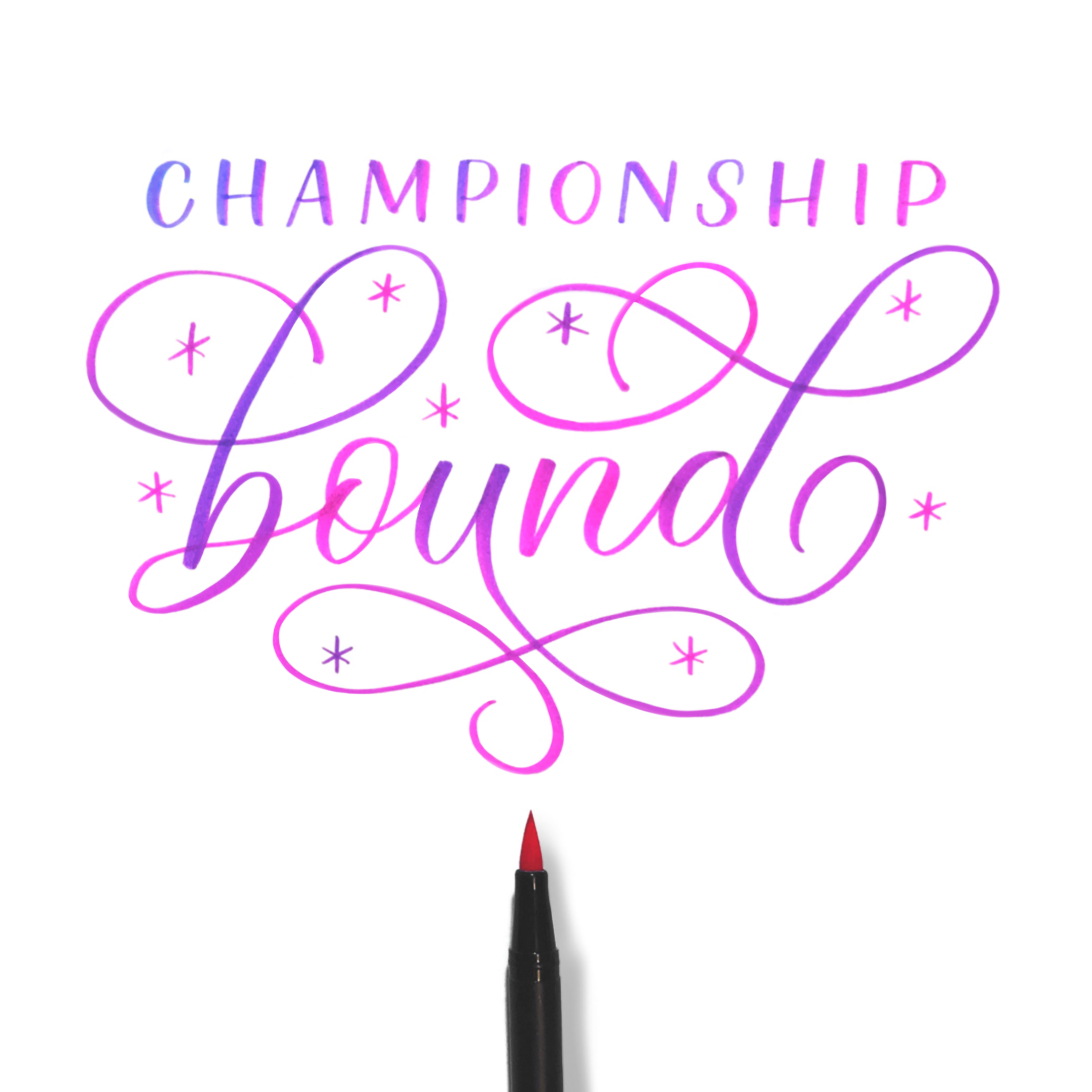 Brush Pen Comparison Guide — Loveleigh Loops