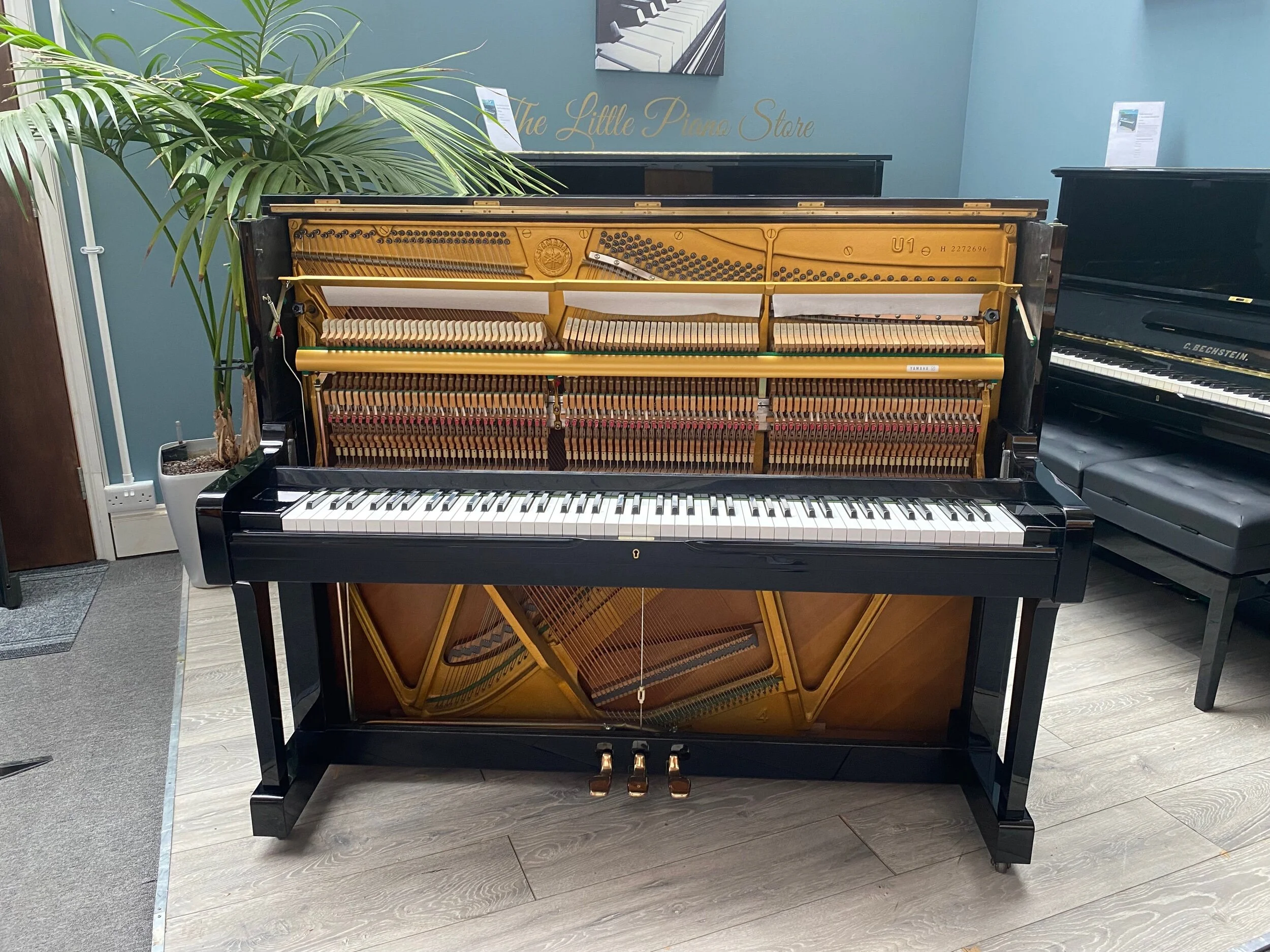 Yamaha u1h piano deals