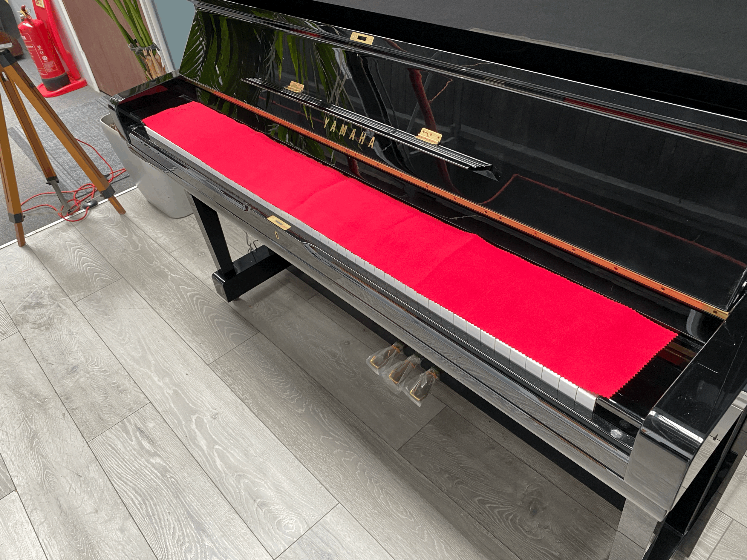 tempImage6Op5Px.gif