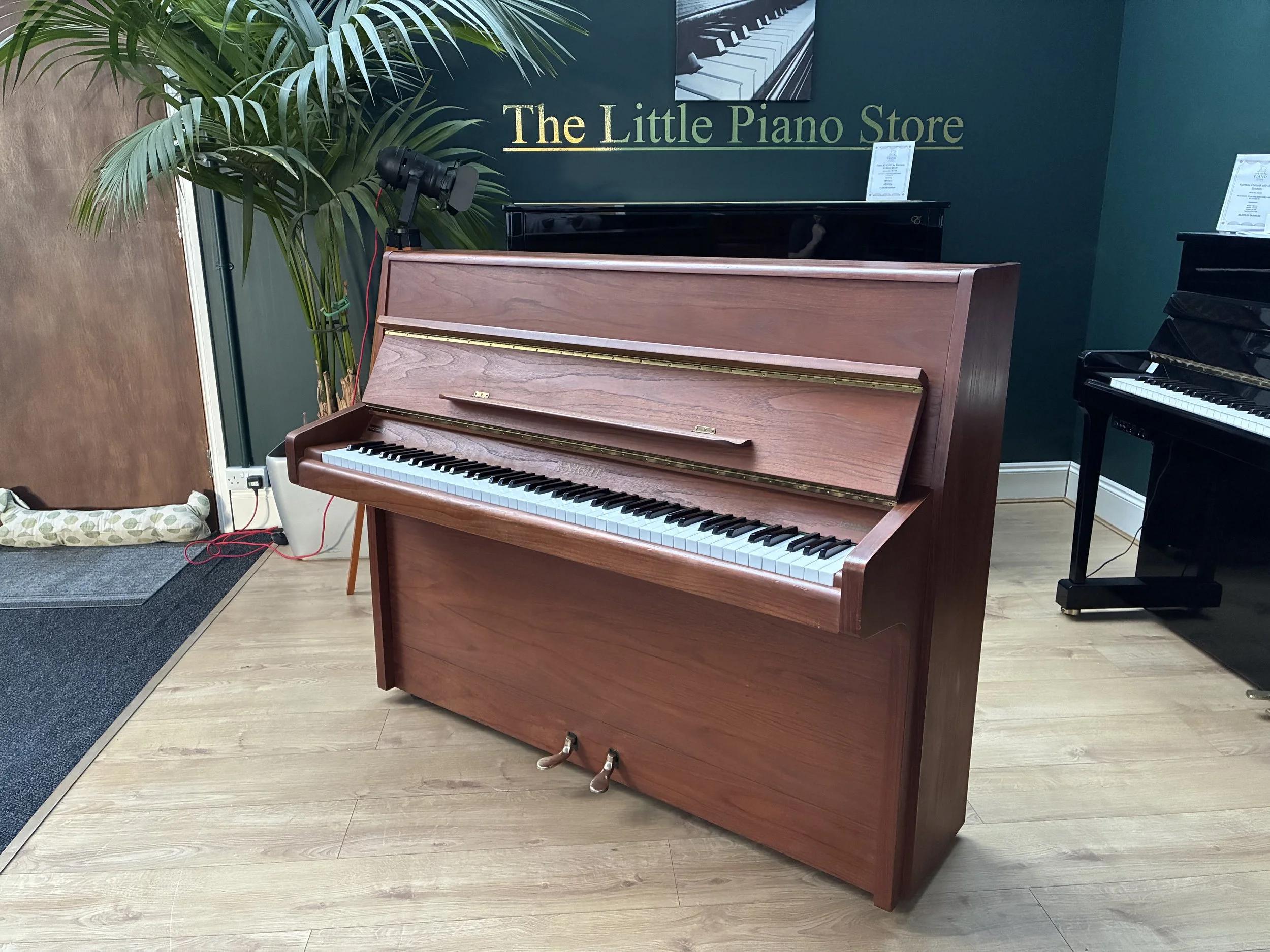 Knight K10 in Satin Walnut