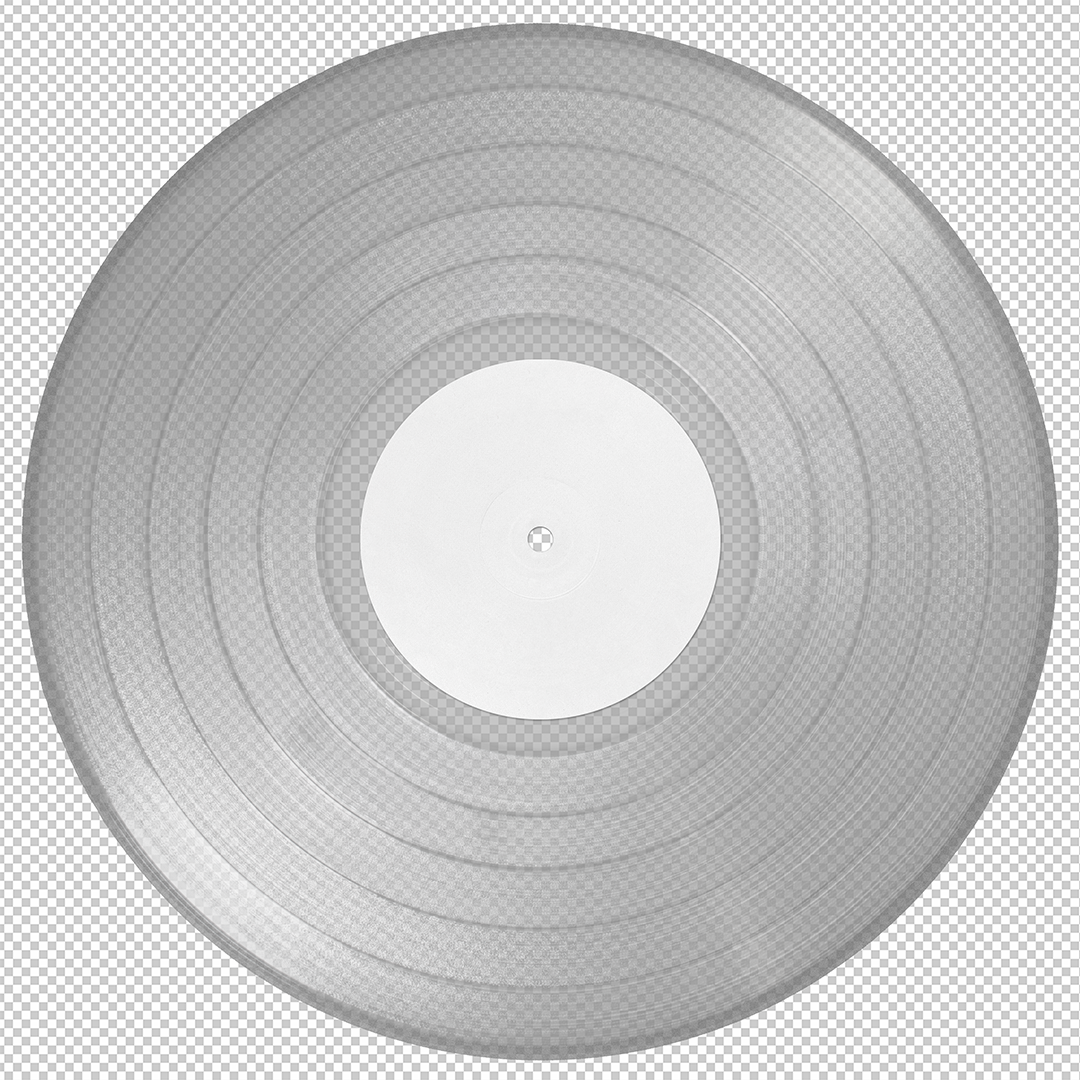 Bandicoot Design Vinyl Discs Mockup Example png.png