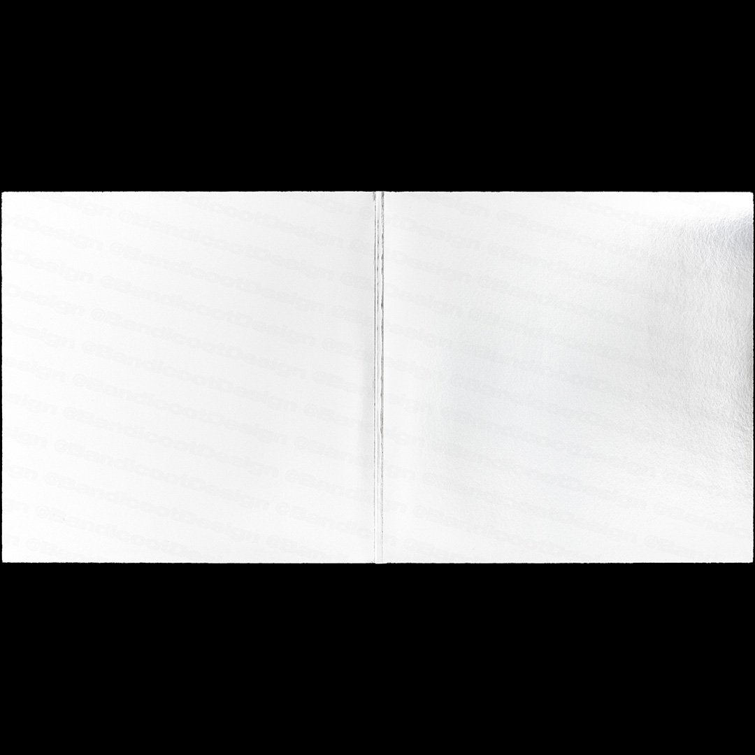 Vinyl Gatefold Mockup white.jpg