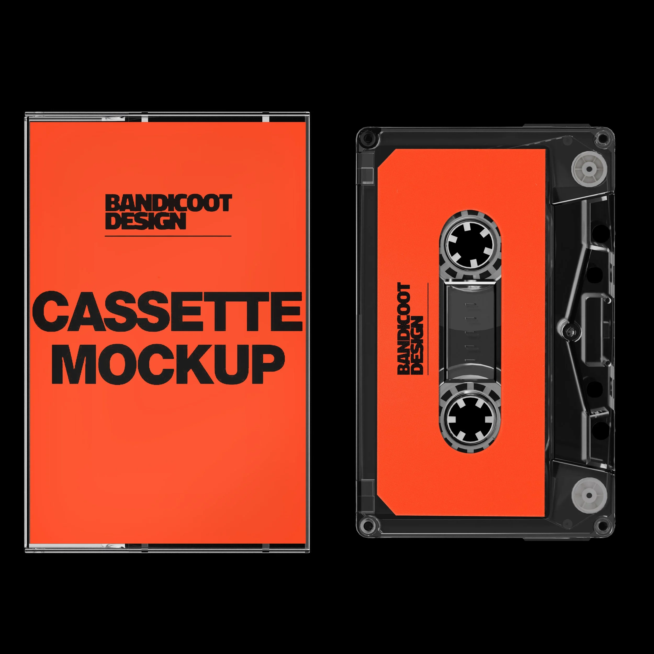 Bandicoot Design Cassette & Case Mockup Thumbnail.jpg