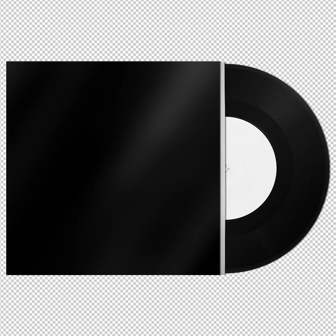 Bandicoot Design 7 Inch Vinyl png example.jpg