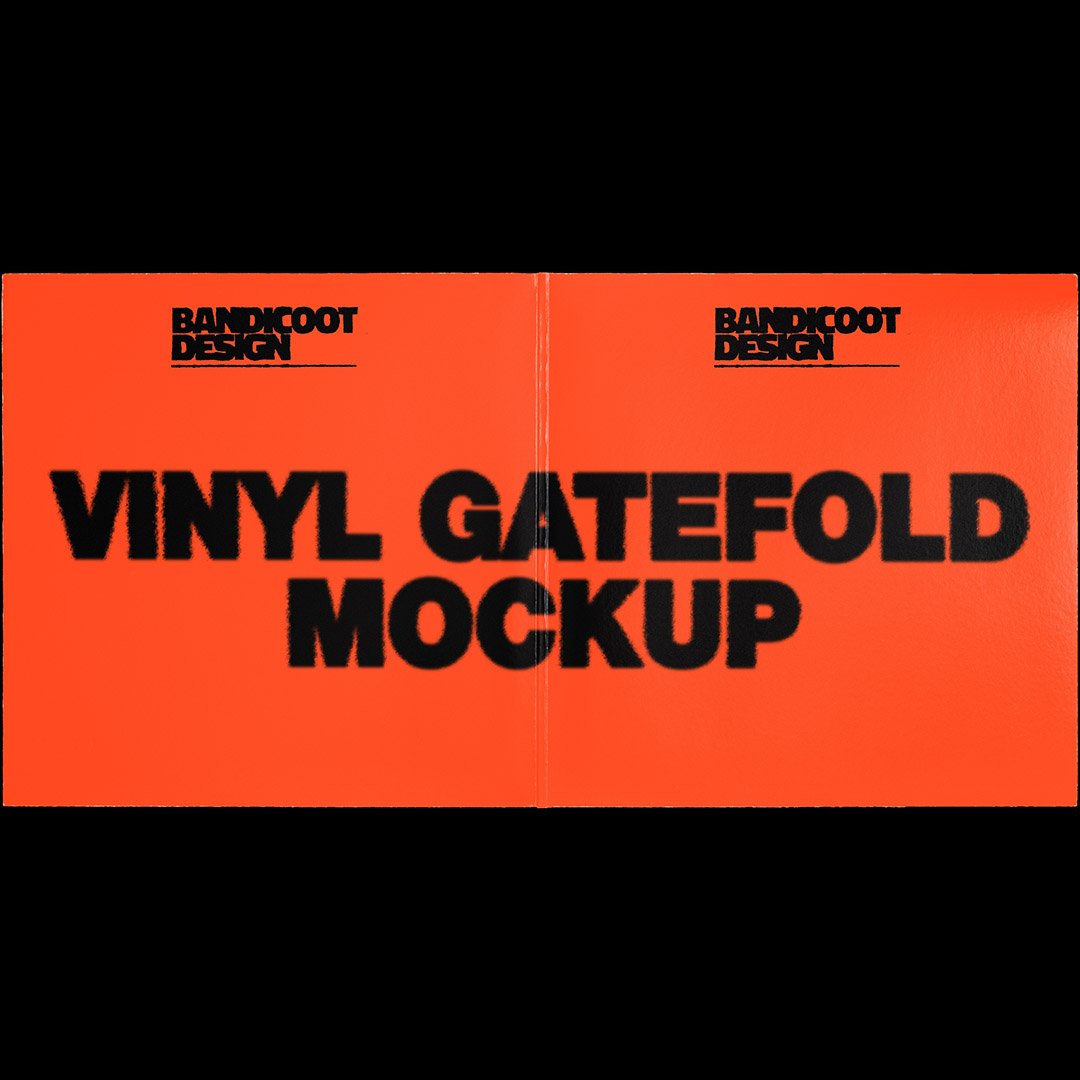 Vinyl Gatefold Mockup 2.jpg