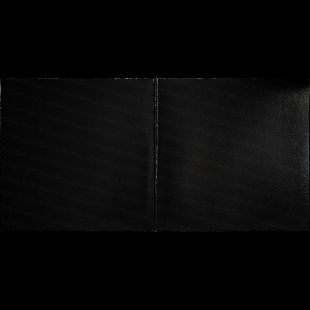 Vinyl Gatefold Mockup black.jpg