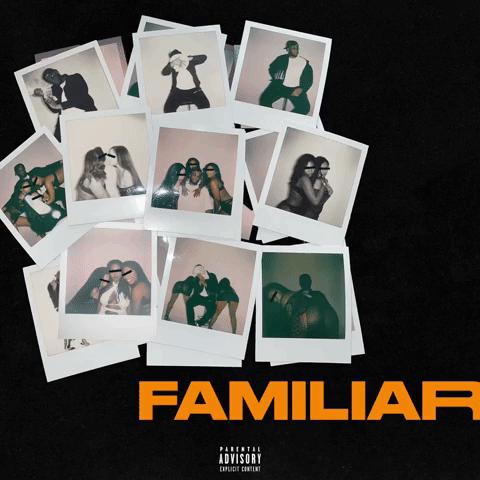 Collection of Polaroid photos showing various people, some posing and taking selfies, arranged on a black surface with the word "FAMILIAR" in bold orange letters at the bottom.