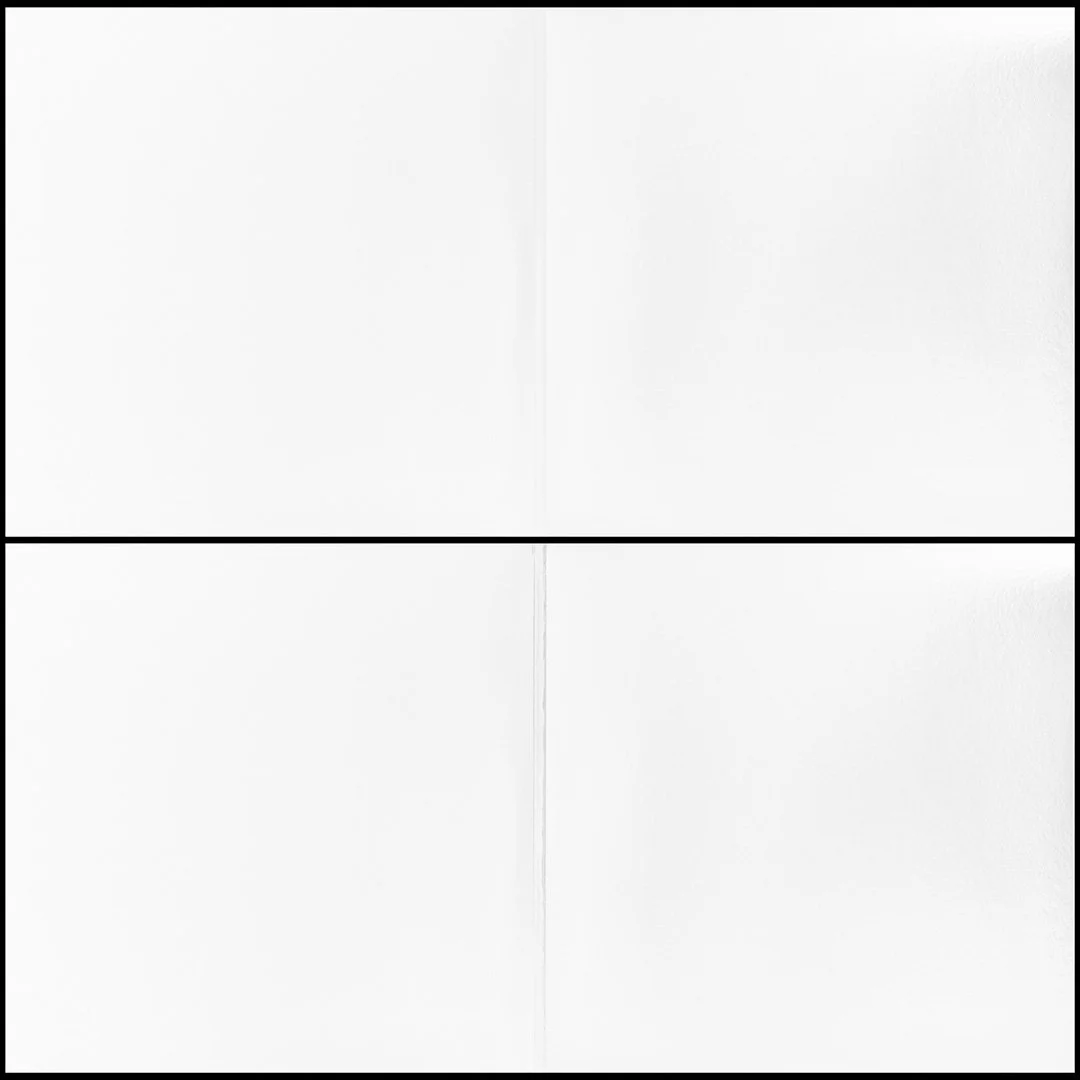 Bandicoot Design Vinyl Gatefold Mockup Thumbnail White.jpg
