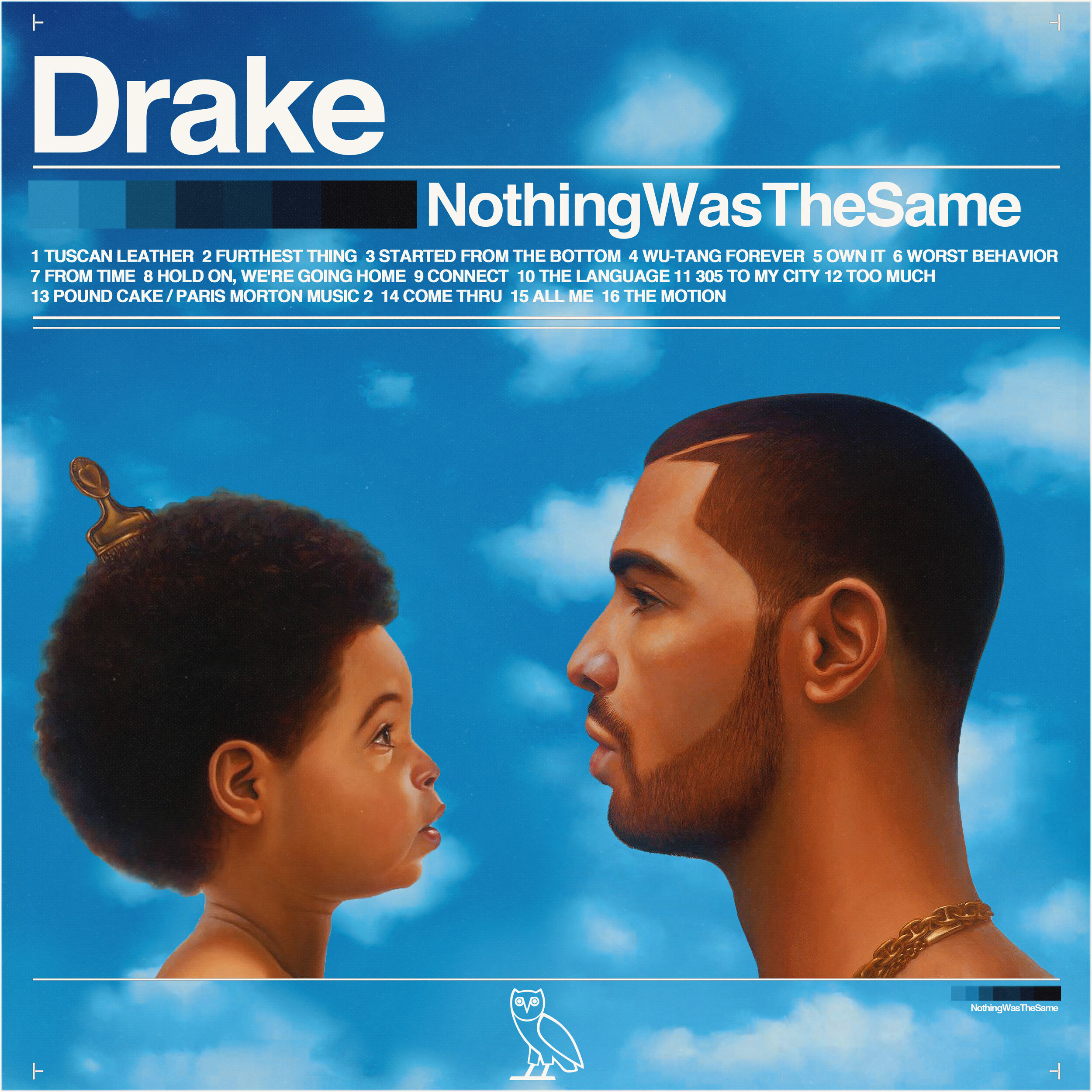 Drake Leak Album Cover Art — Bandicoot Design