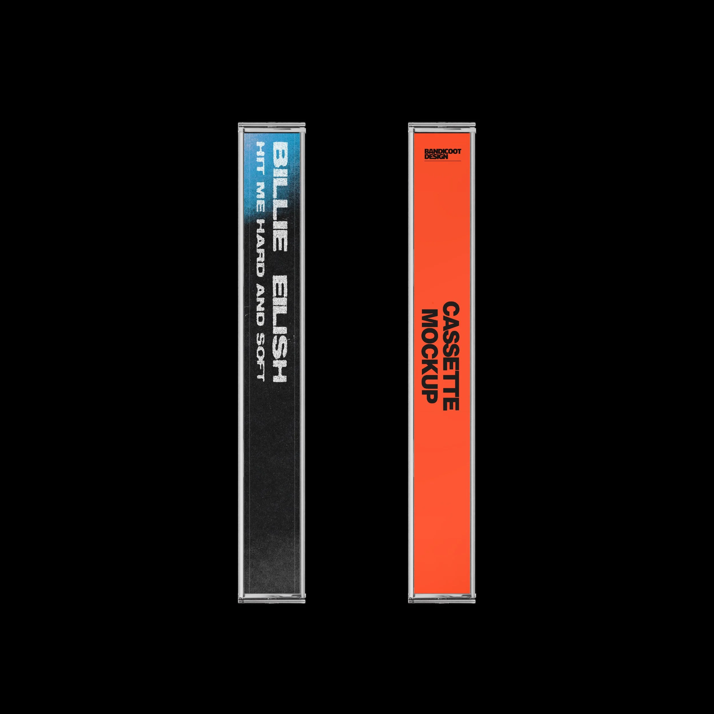 Bandicoot Design Cassette & Case Mockup Example Side.jpg