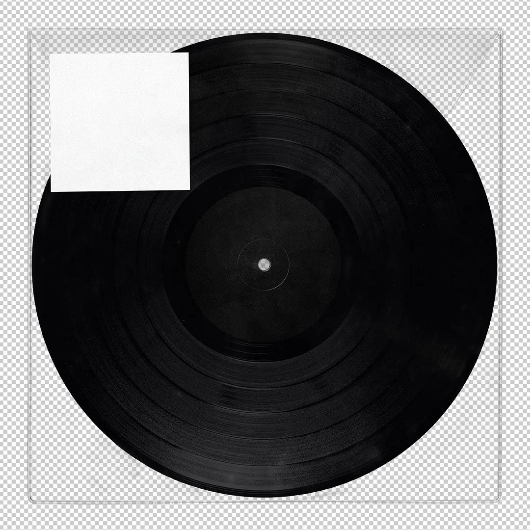 Bandicoot Design Vinyl PVC Sleeve Mockup 1080 3.jpg