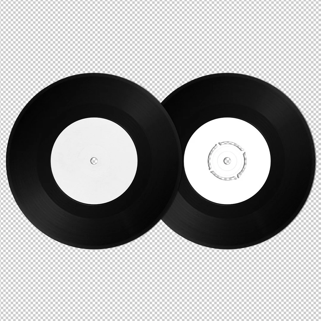 Bandicoot Design 7 Inch Vinyl Discs.jpg