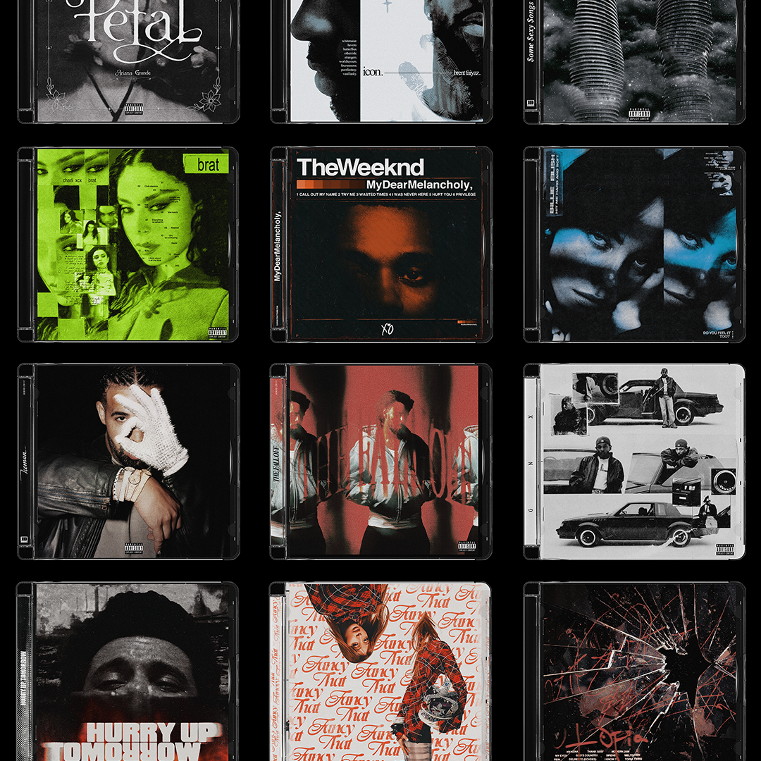 Bandicoot Design CD SJB Case Mockup Examples.png