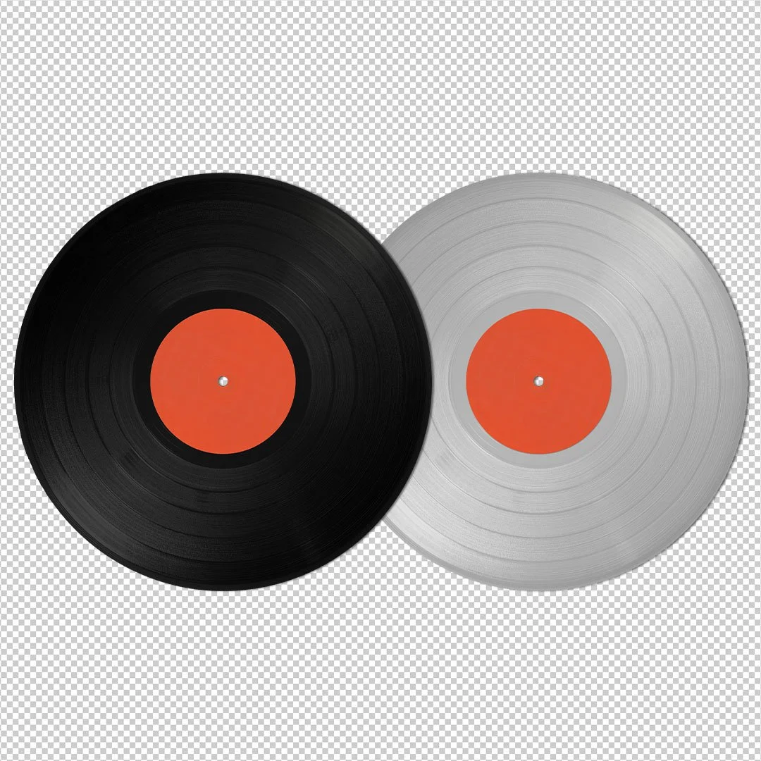 Bandicoot Design Vinyl Thumbnail 3.jpg