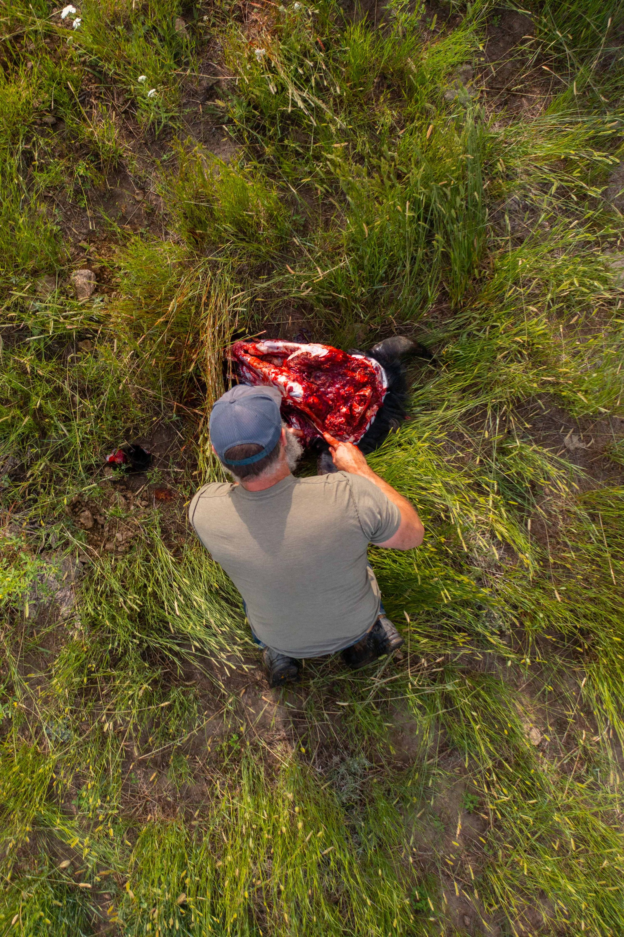 DJI_0457.jpg