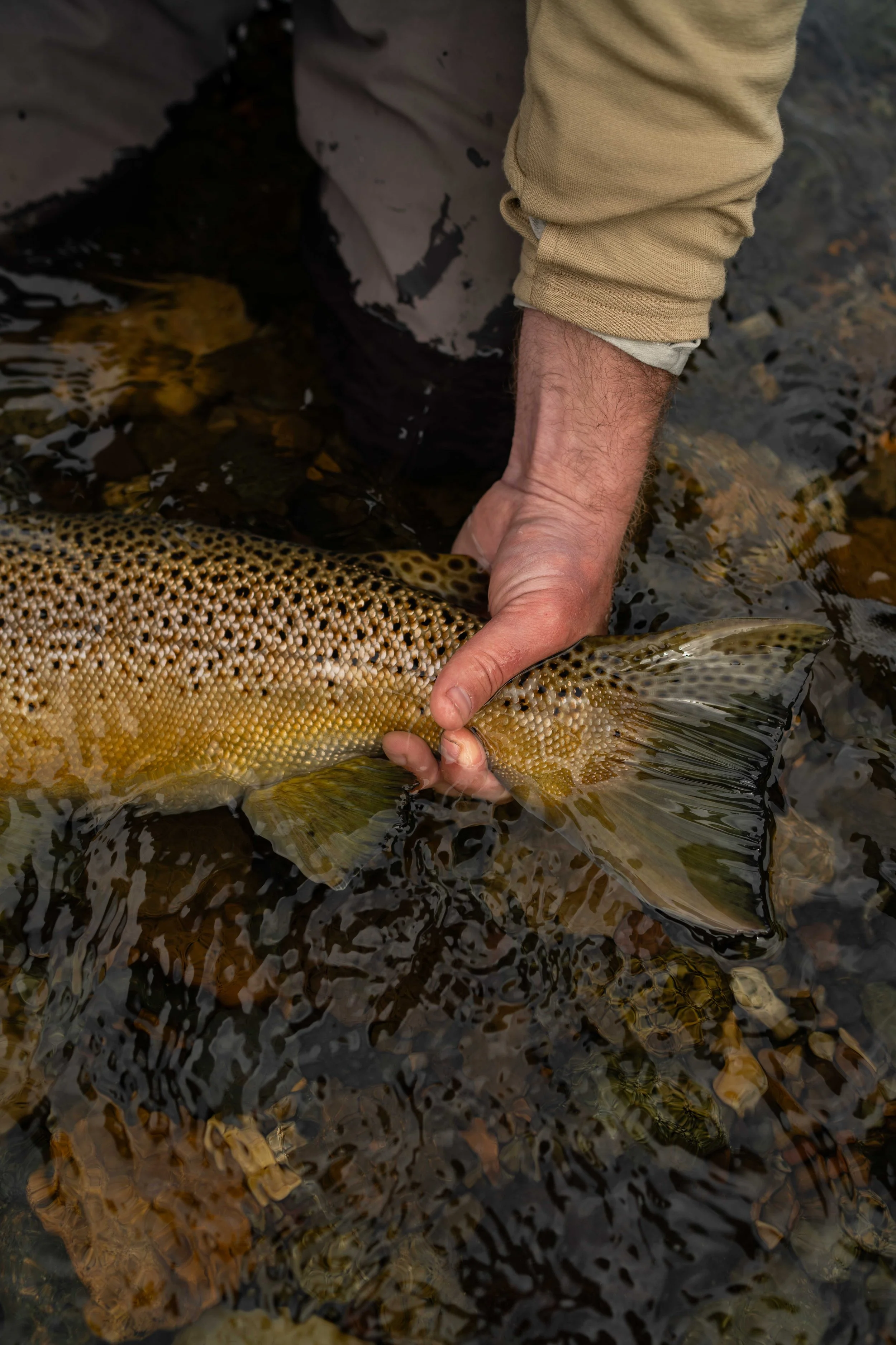 wes-walker-photographer-patagonia-outfitters-argentina-flylords-flyfishing-19.jpg