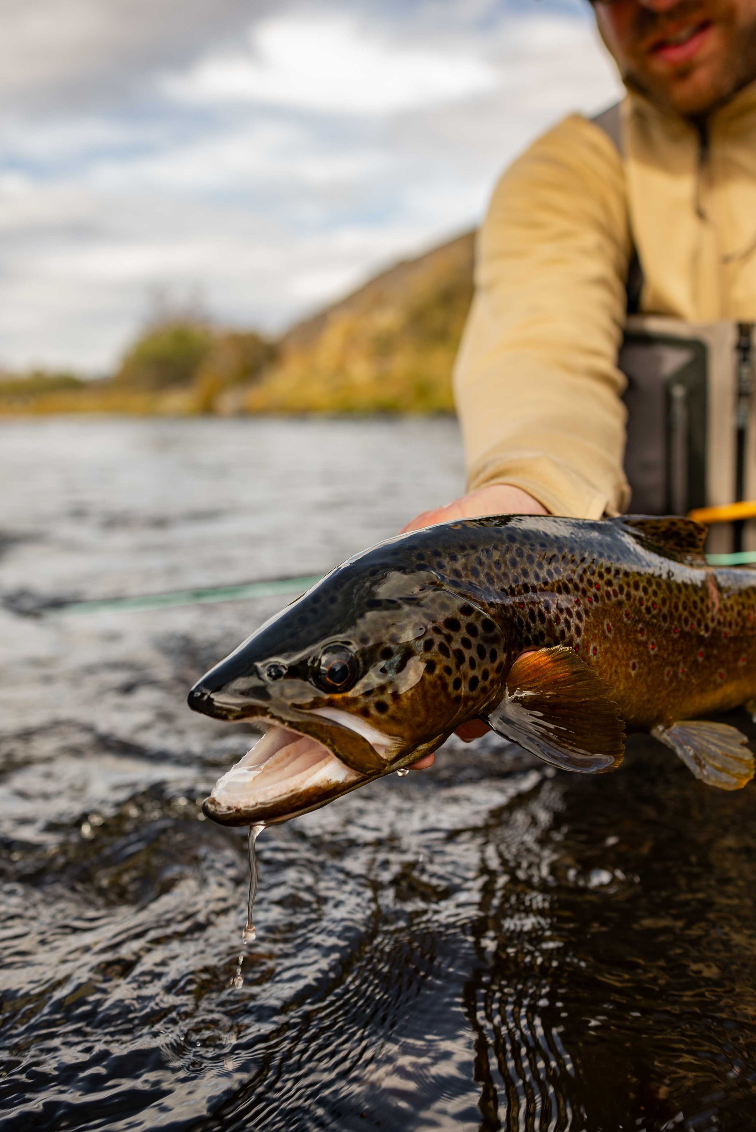 wes-walker-photographer-patagonia-outfitters-argentina-flylords-flyfishing-72.jpg