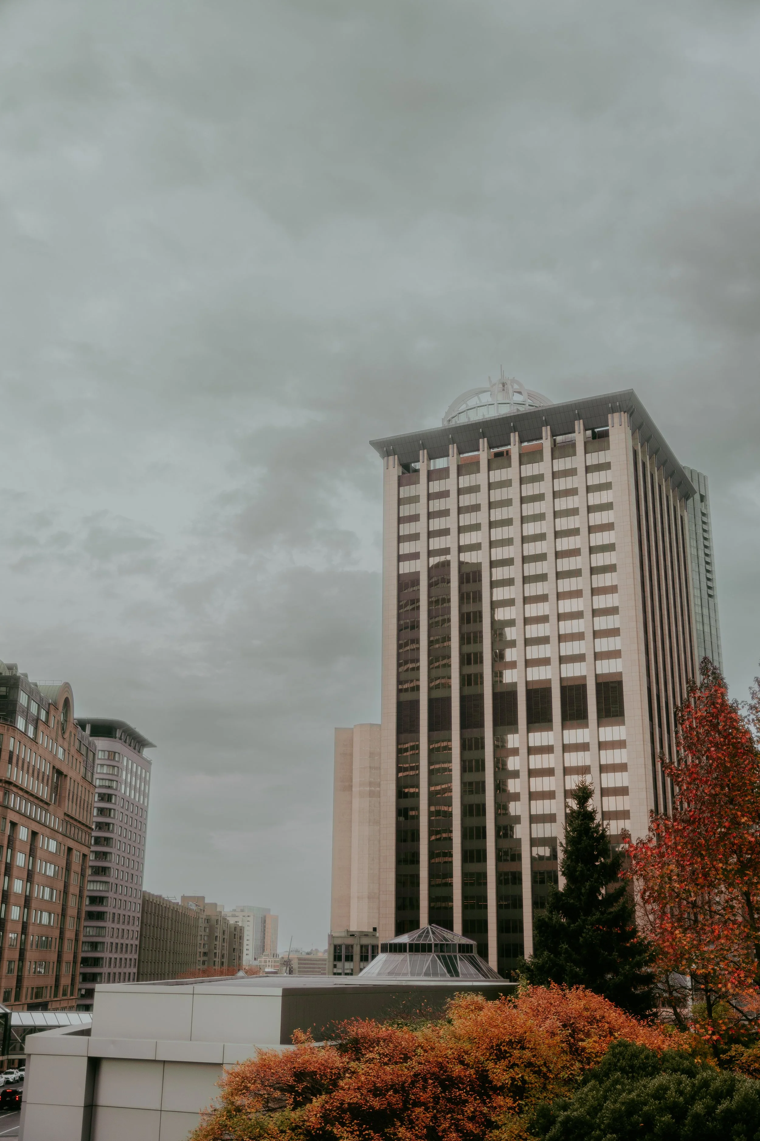 DSC09010.JPG