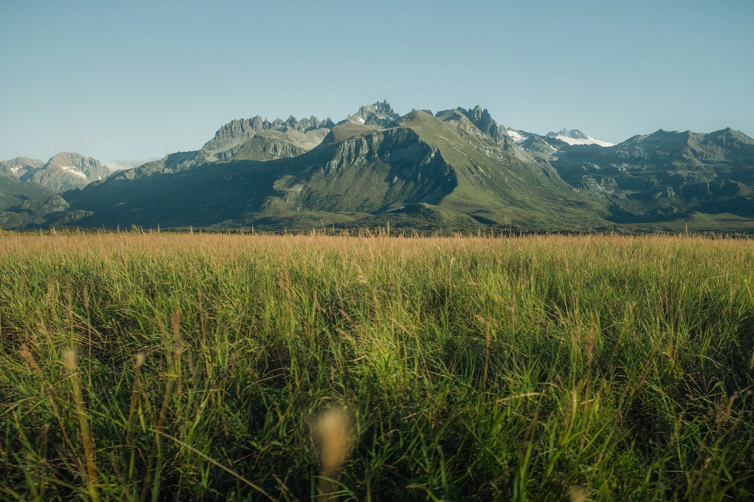 asl_25_879-2 copy.jpg