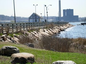 Long Wharf Clean Up
