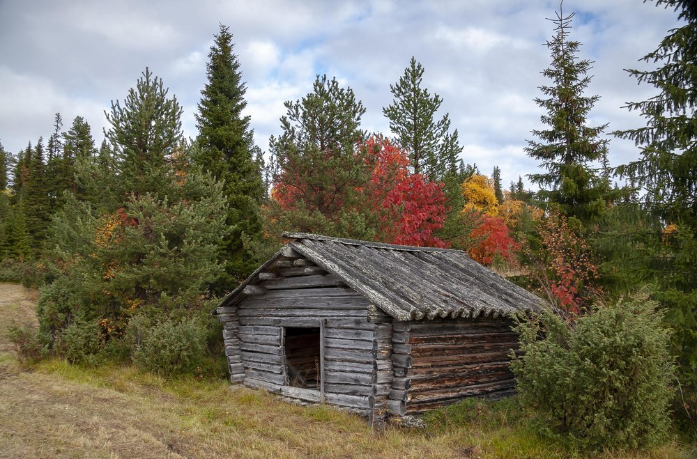 barn-6568455.jpg