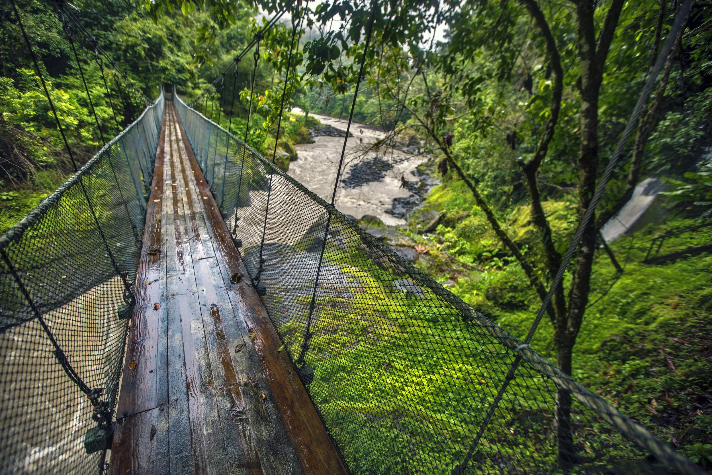 Costa Rica Pacuare River Suspension Bridge .jpg