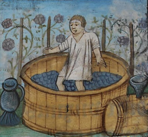 The Origins of Wine