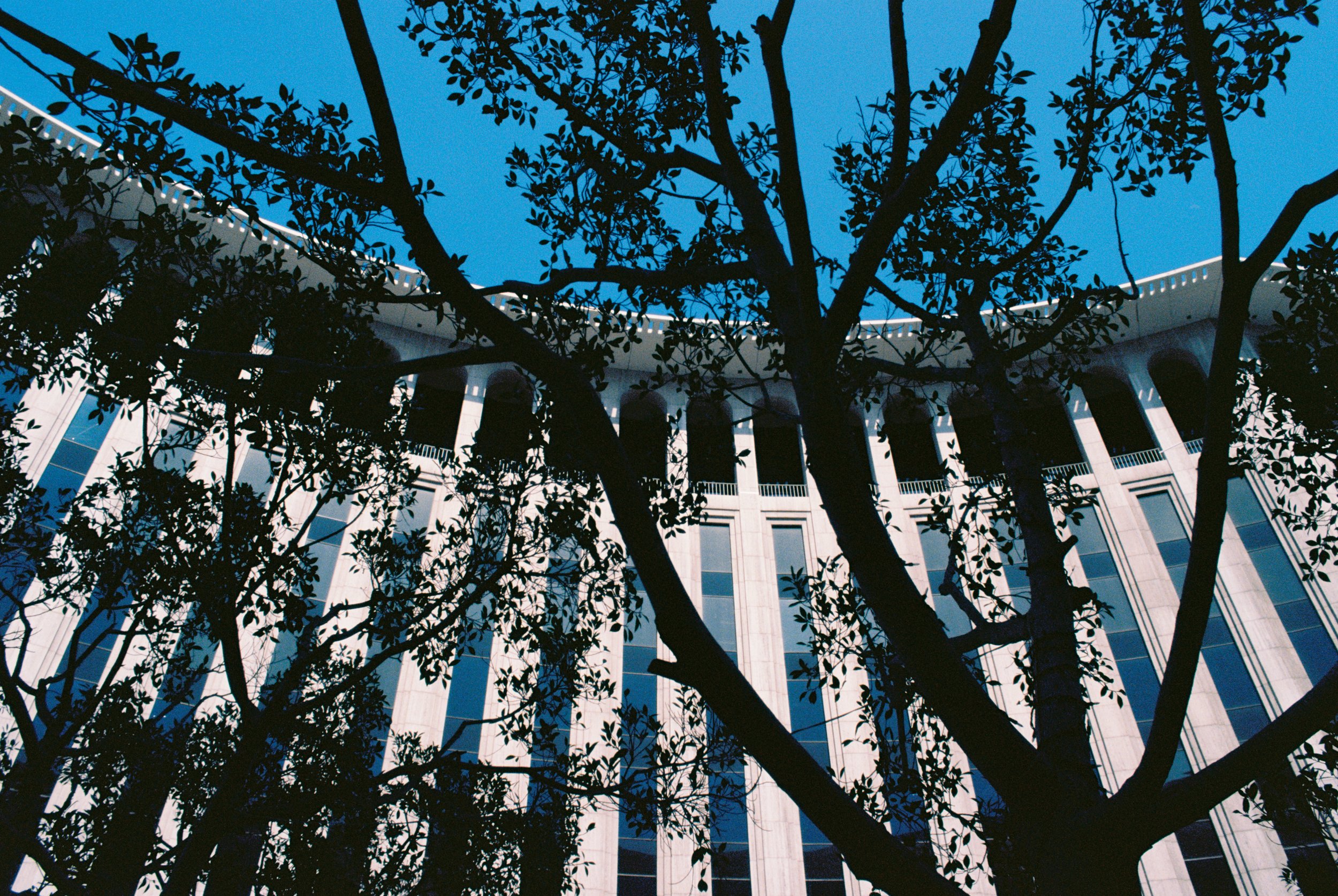 IMG2154-R01-008.jpg