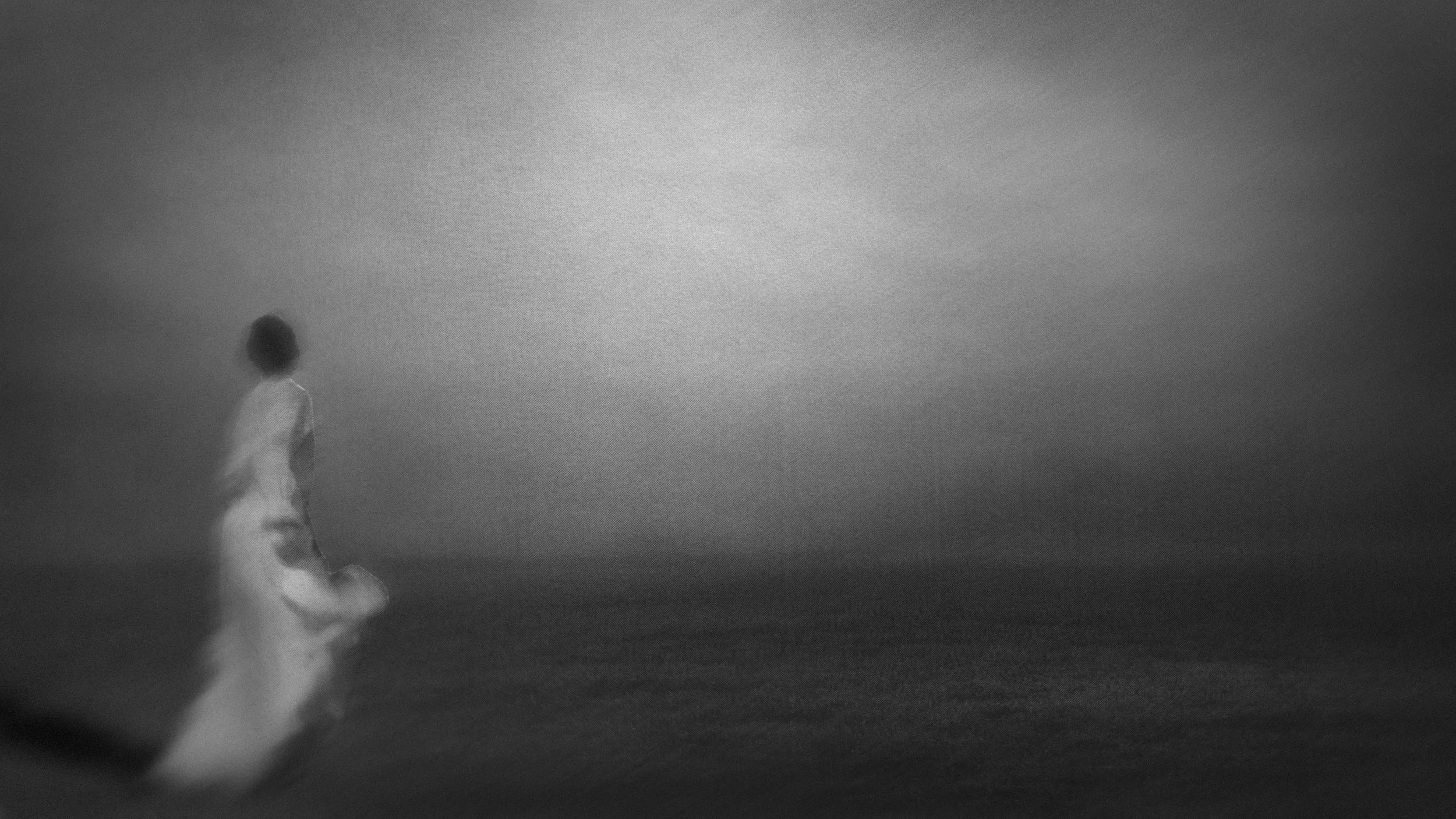 Alana Campbell Studio