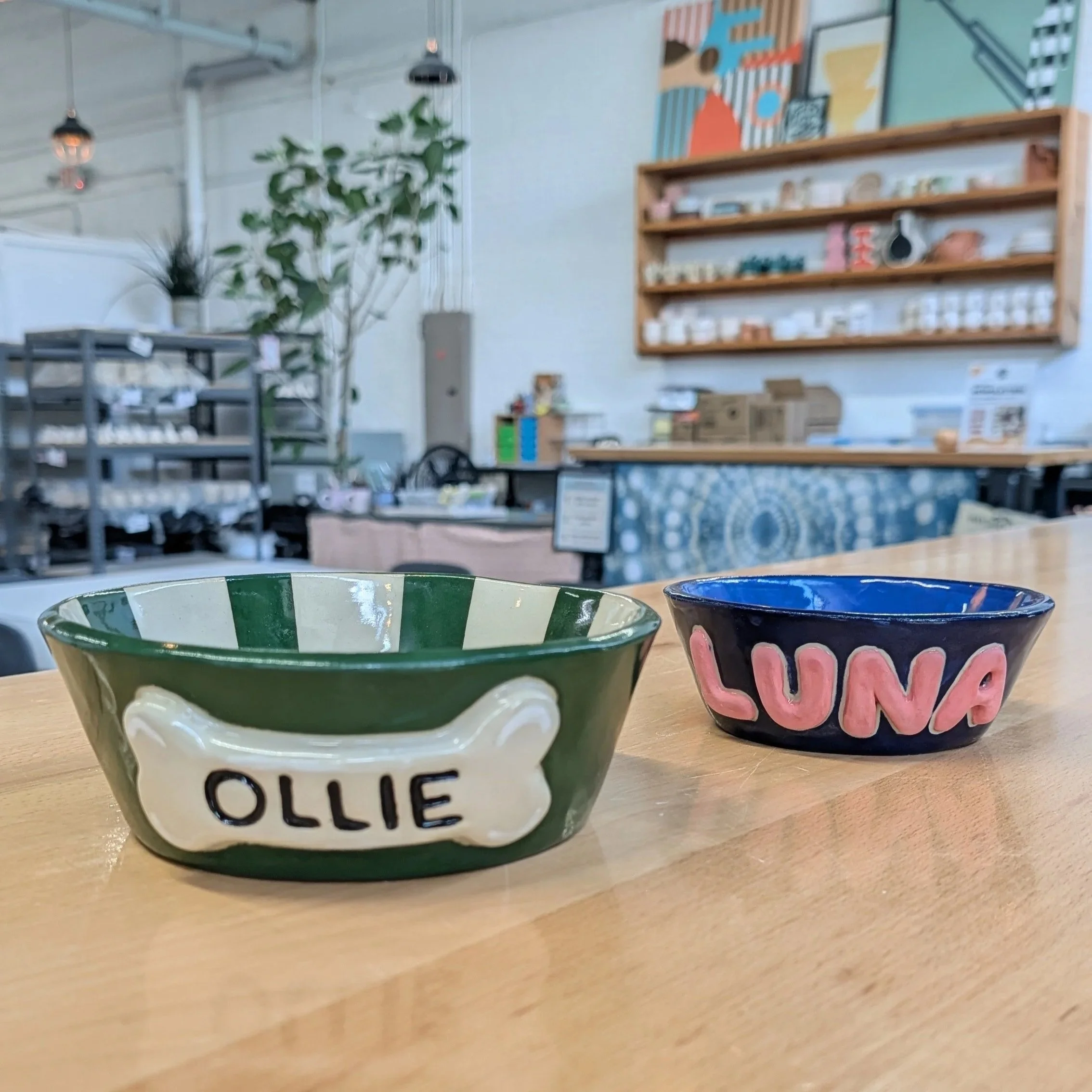 Pet+Bowls+Photo.jpg