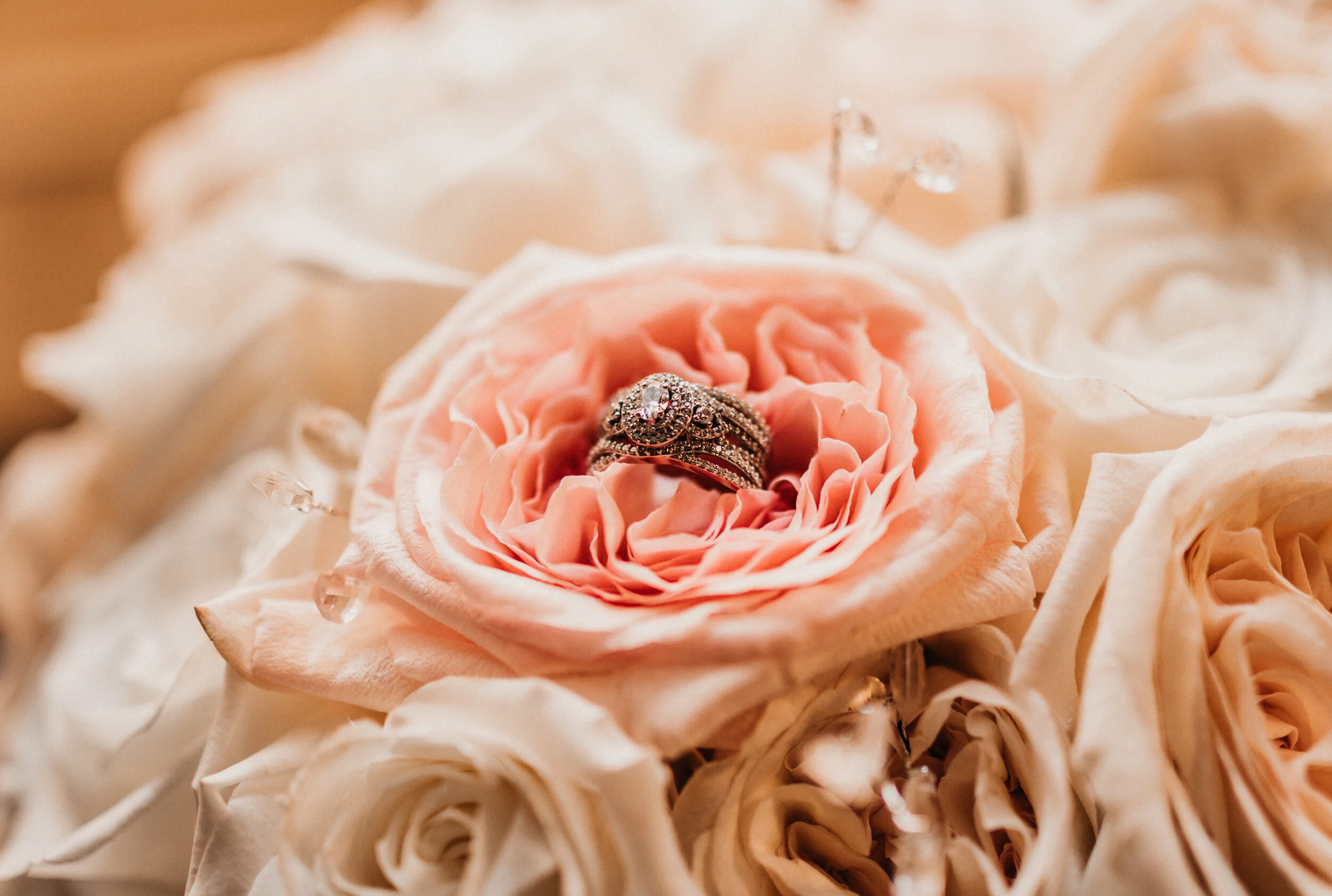 Brittney Lasley_1-36.JPG