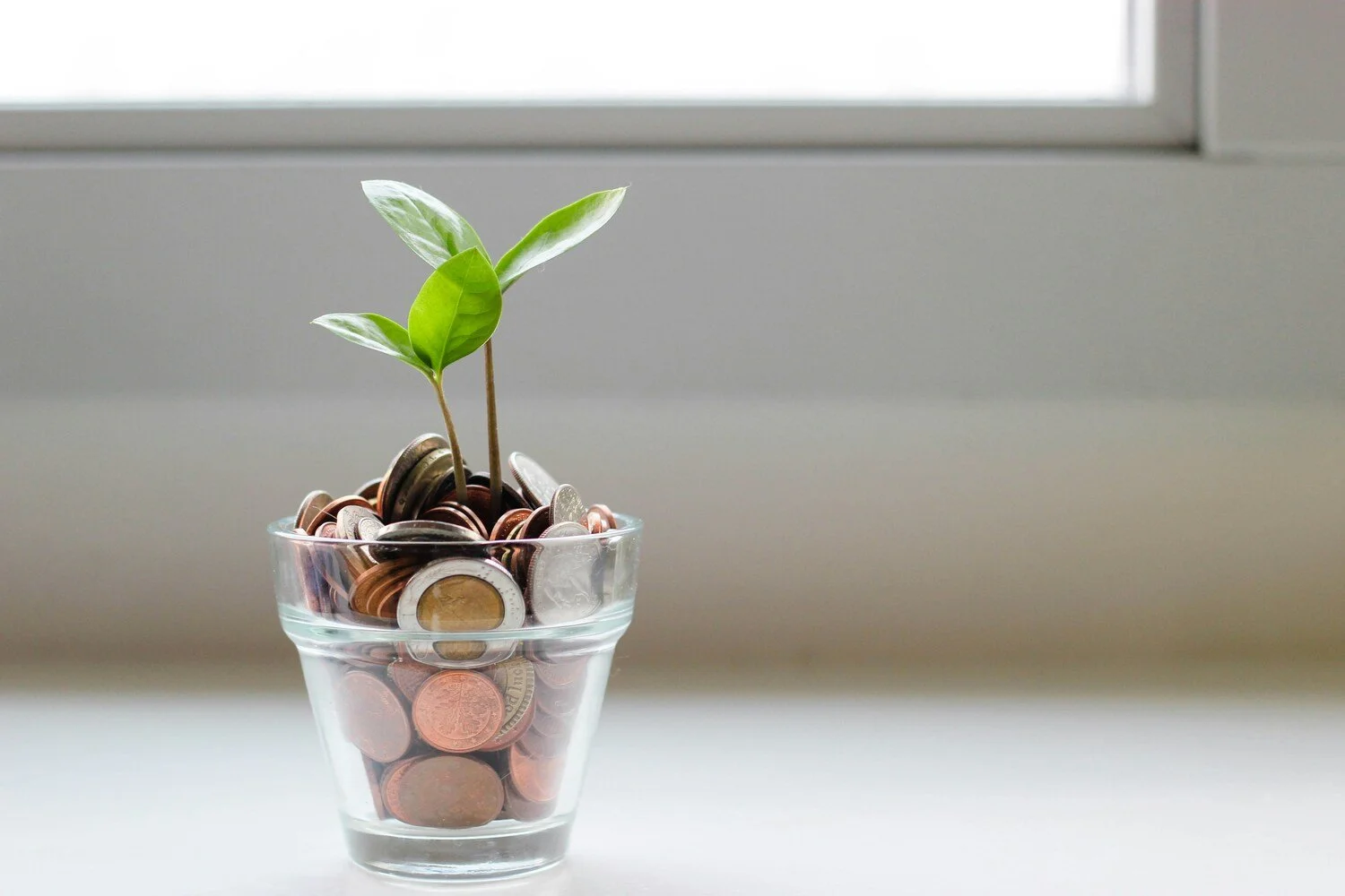 Financial Support for Therapists: image of a small plant in clear pot filled with coins against a white background.