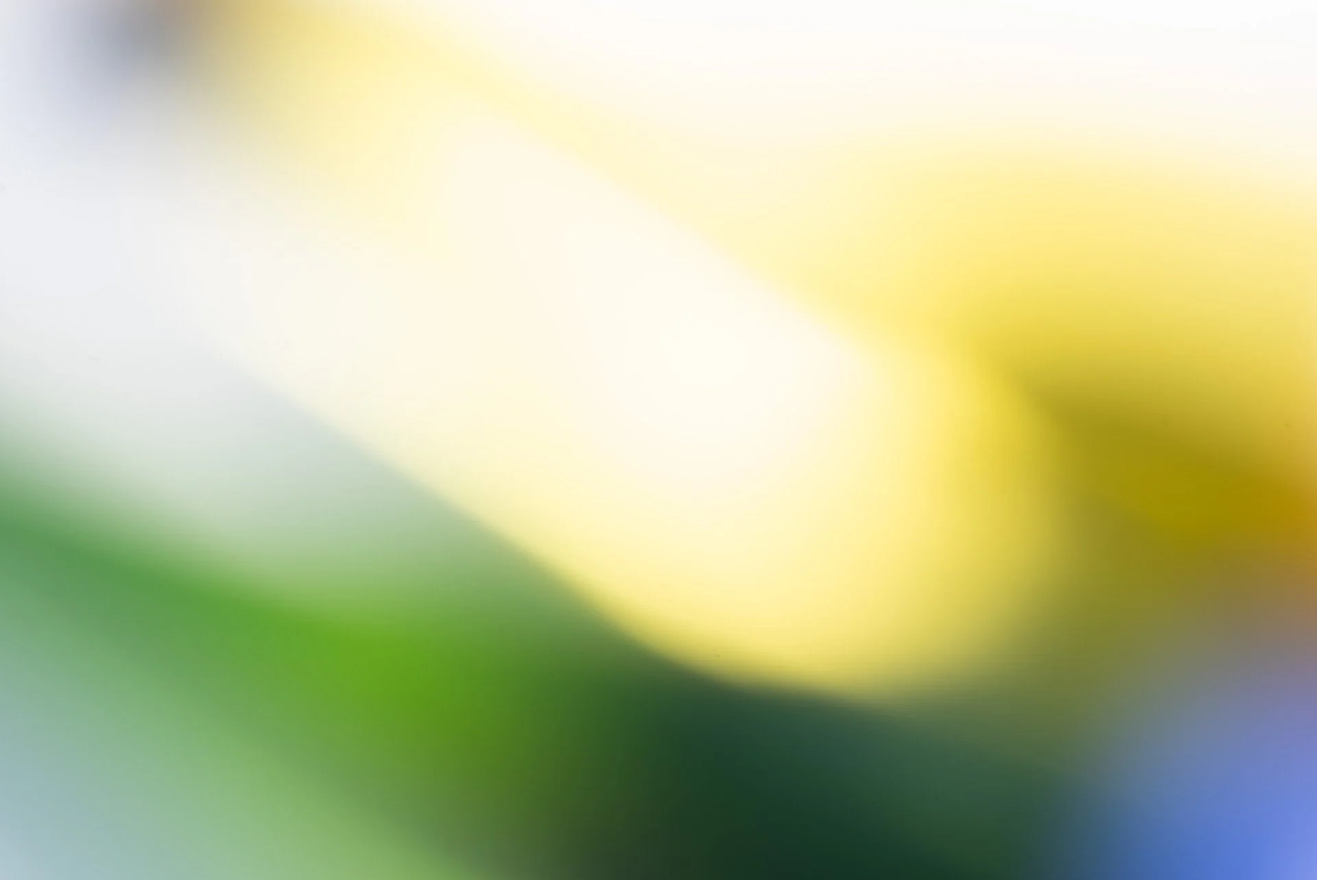 HEIDEE_WINERY_ALM_2021_3AND_10.jpg